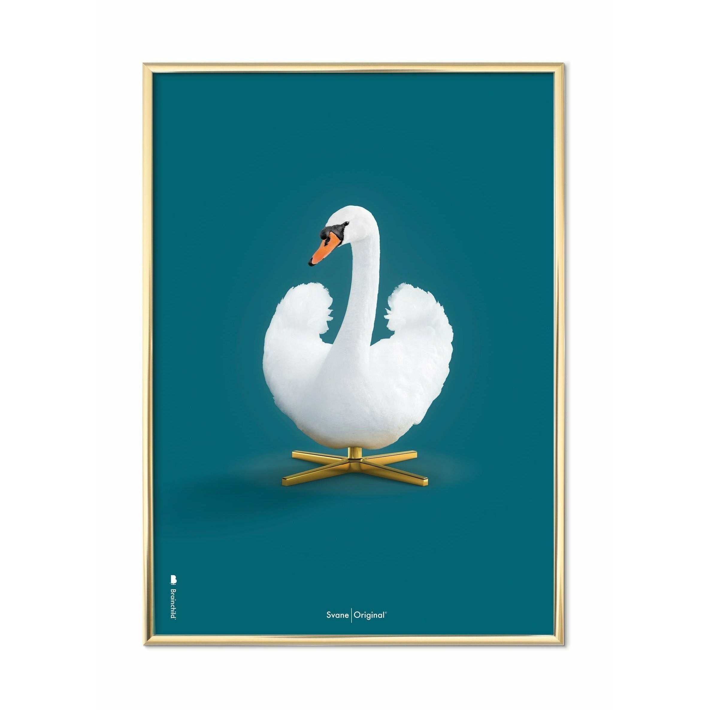 Brainchild Swan Classic Poster, Messingfarbrahmen 70 x100 cm, Erdölblau Hintergrund