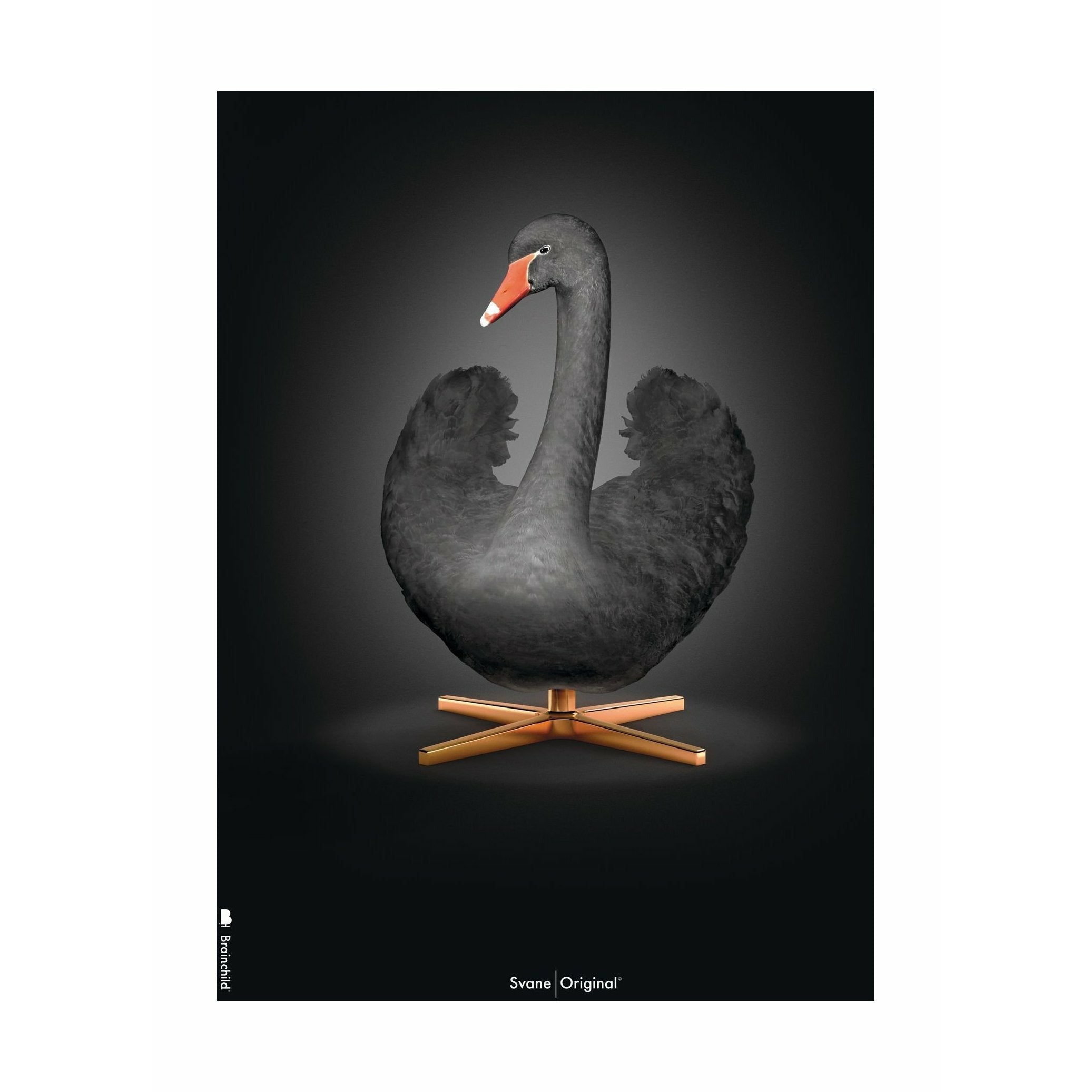 Brainchild Swan Classic Poster utan ram A5, svart/svart bakgrund