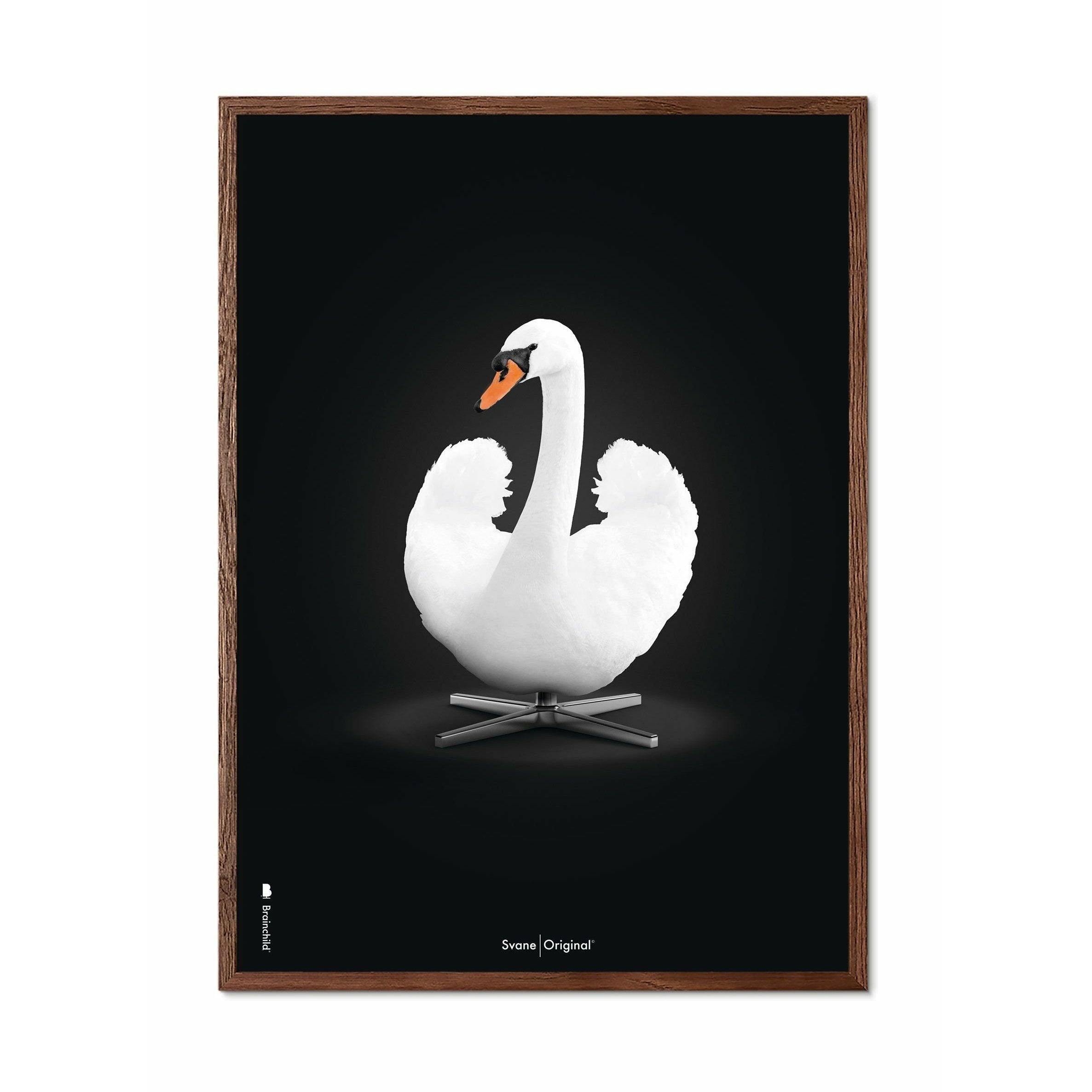 Affiche classique du cygne swan, en bois foncé 30x40 cm, fond blanc / blanc