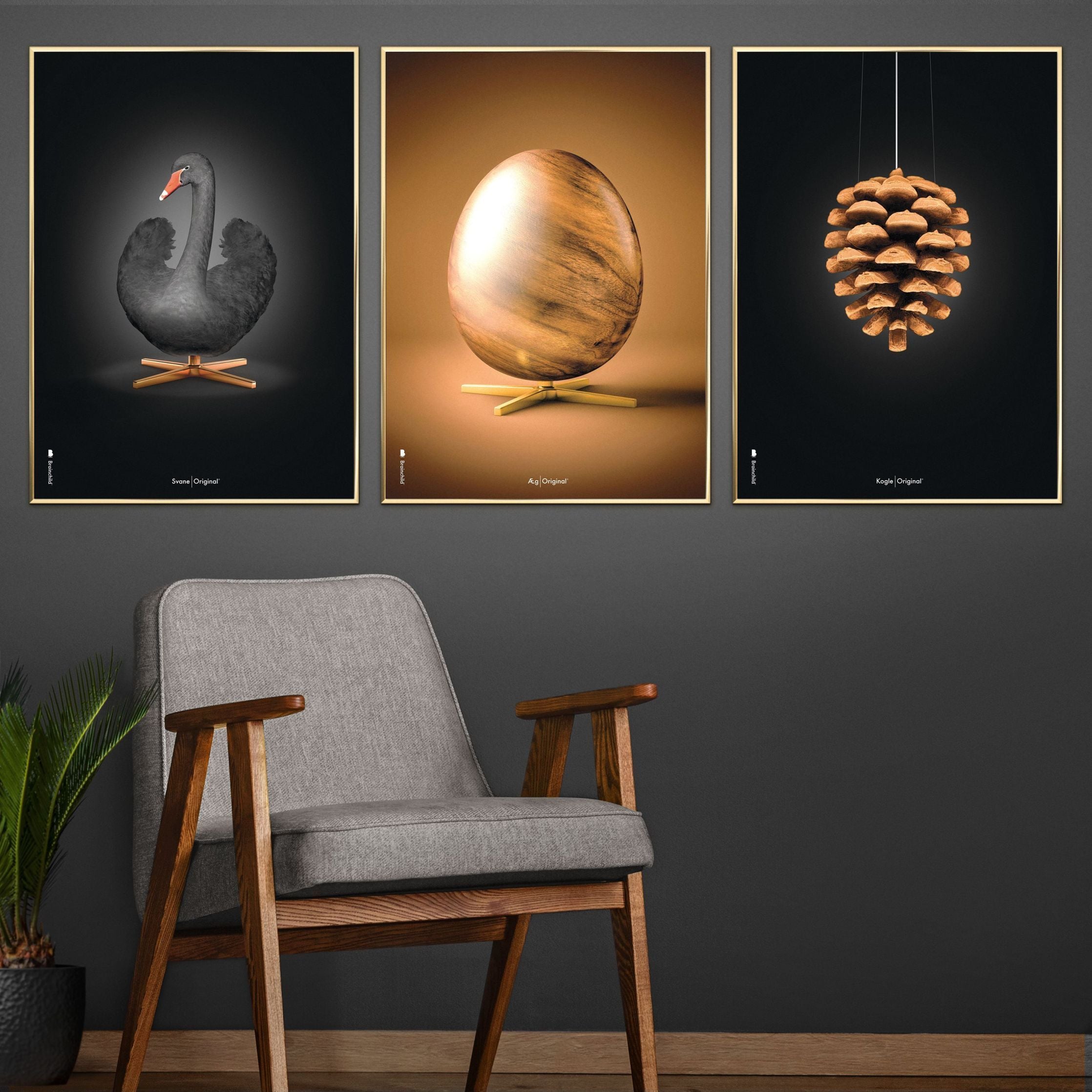 Brainchild Pine Cone Classic Poster, Brass Coloured Frame 30x40 Cm, Black Background