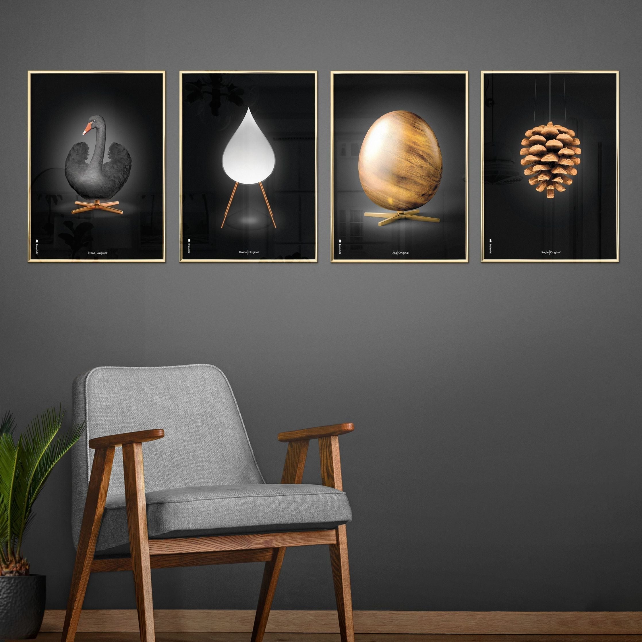 Brainchild Pine Cone Classic Poster, Brass Colored Frame 50x70 Cm, Black Background