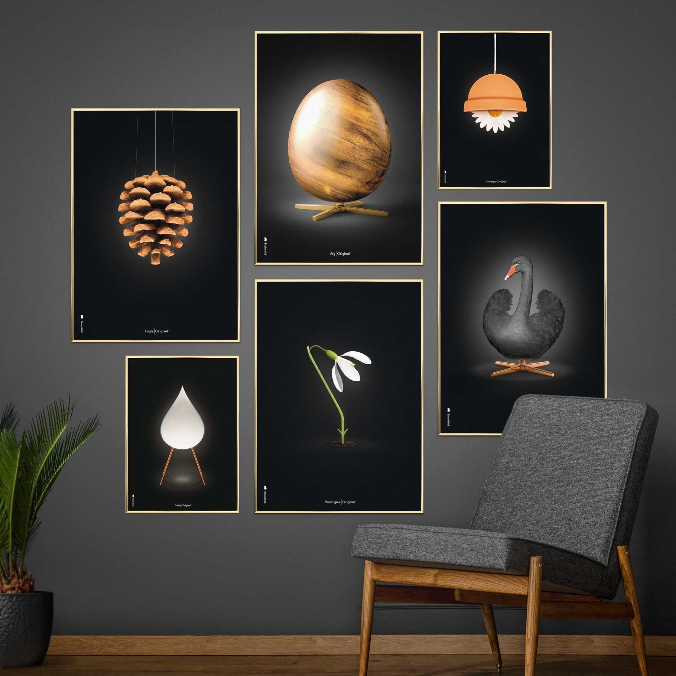 Brainchild Pine Cone Classic Poster, Brass Colored Frame 50x70 Cm, Black Background