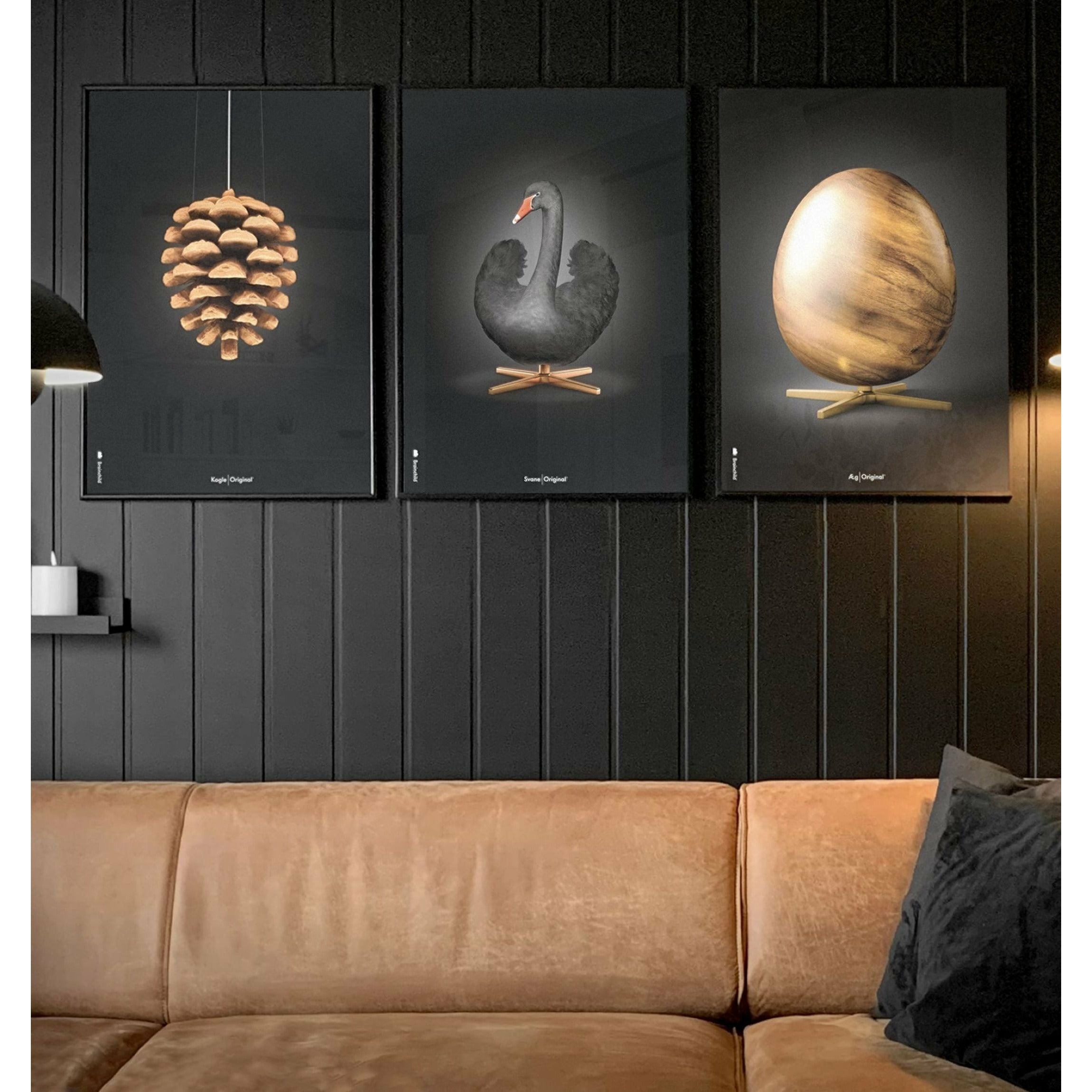 Brainchild Pine Cone Classic Poster, Messingrahmen 70 x100 cm, schwarzer Hintergrund