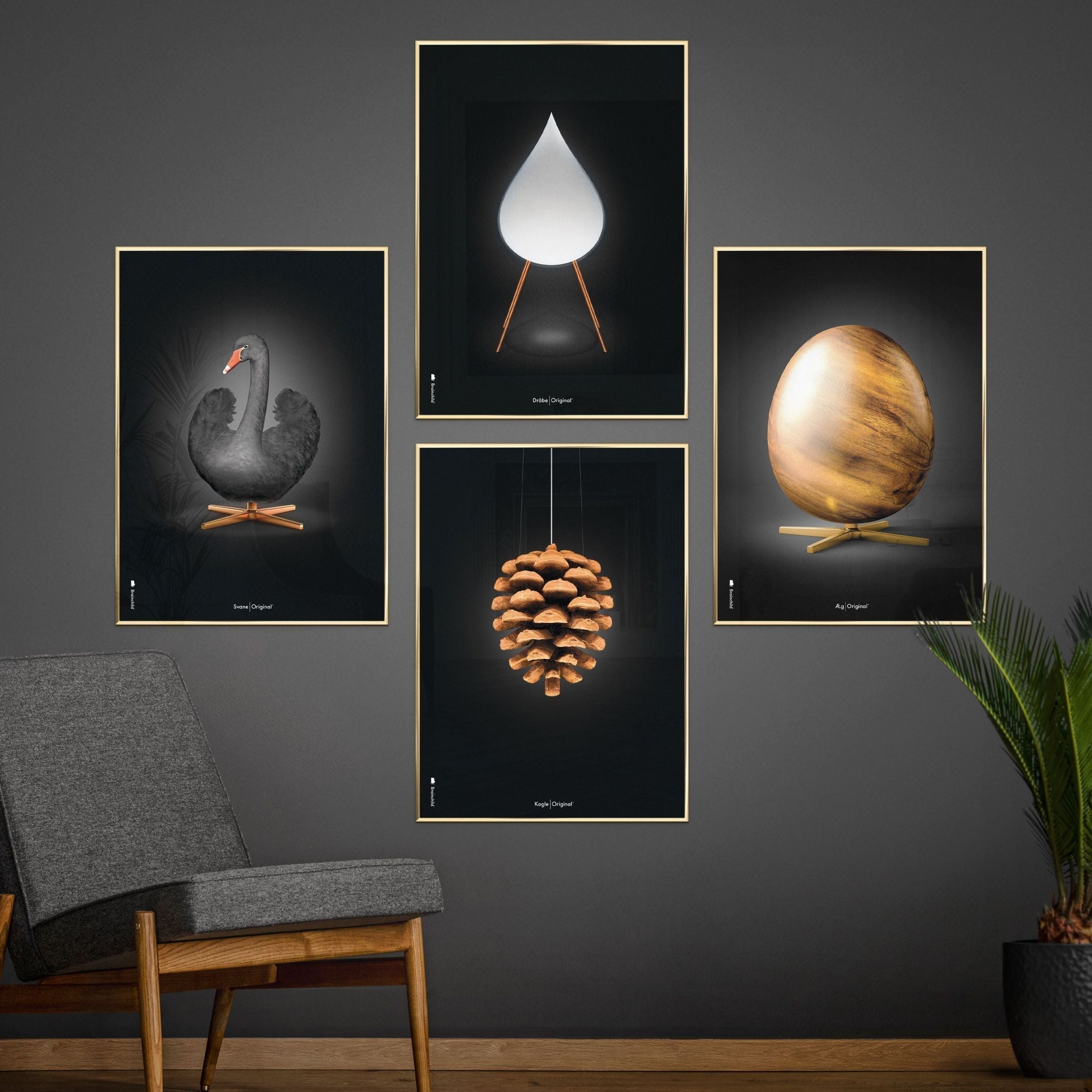Brainchild Pine Cone Classic Plakat, messingramme 70 x100 cm, sort baggrund