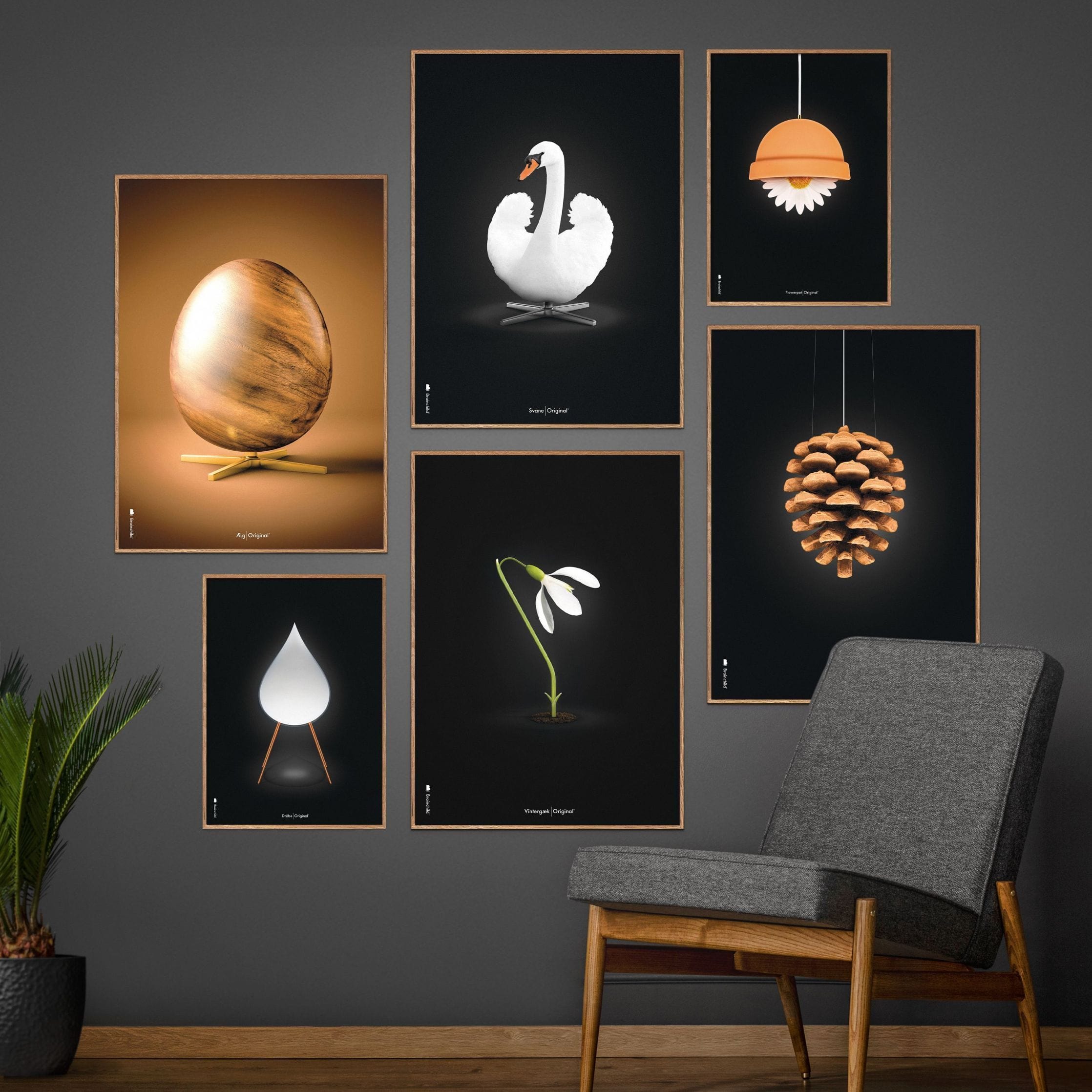 Brainchild Pine Cone Classic Poster Without Frame A5, Black Background