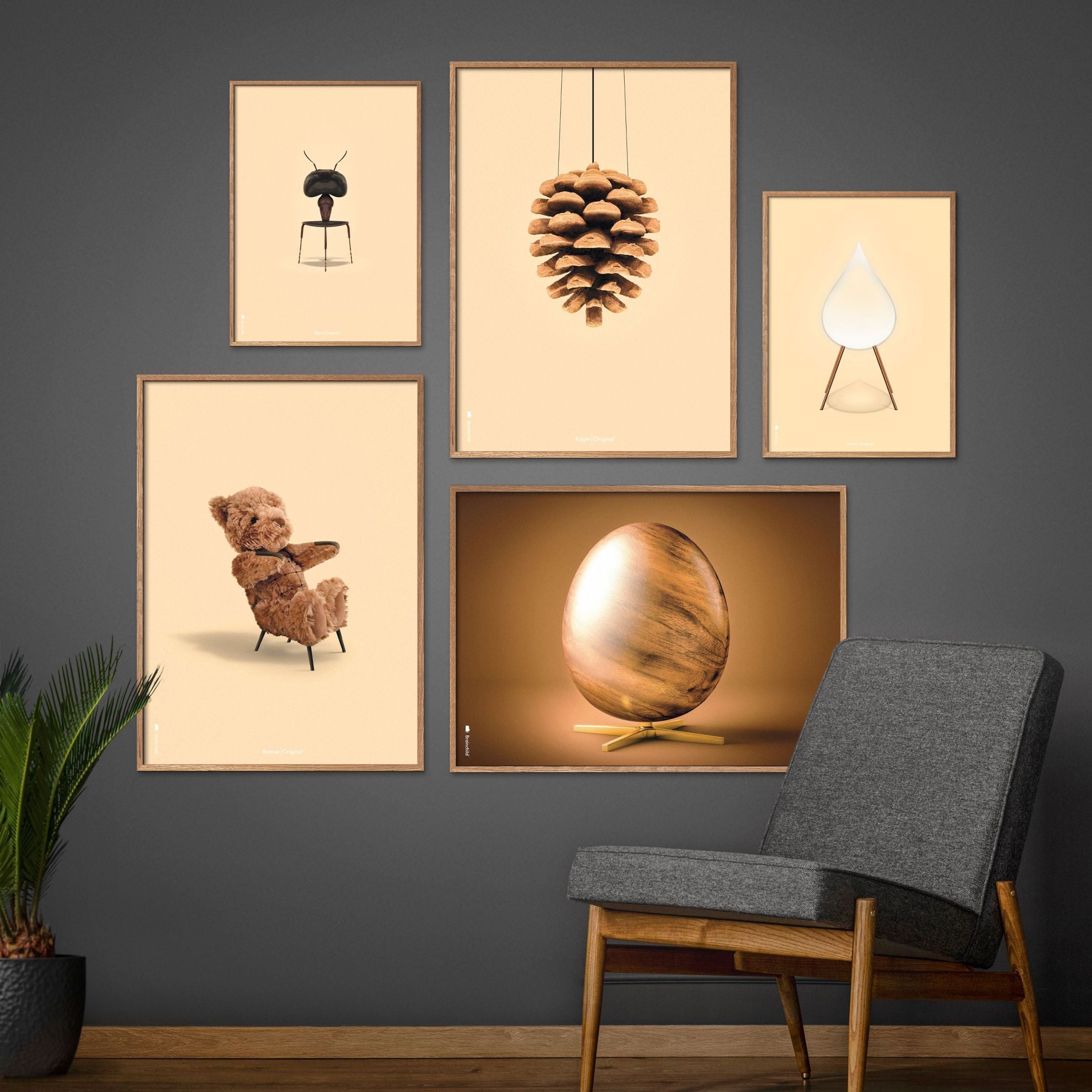 Brainchild Pine Cone Klassisk plakat, ramme lavet af mørkt træ 50x70 cm, sandfarvet baggrund