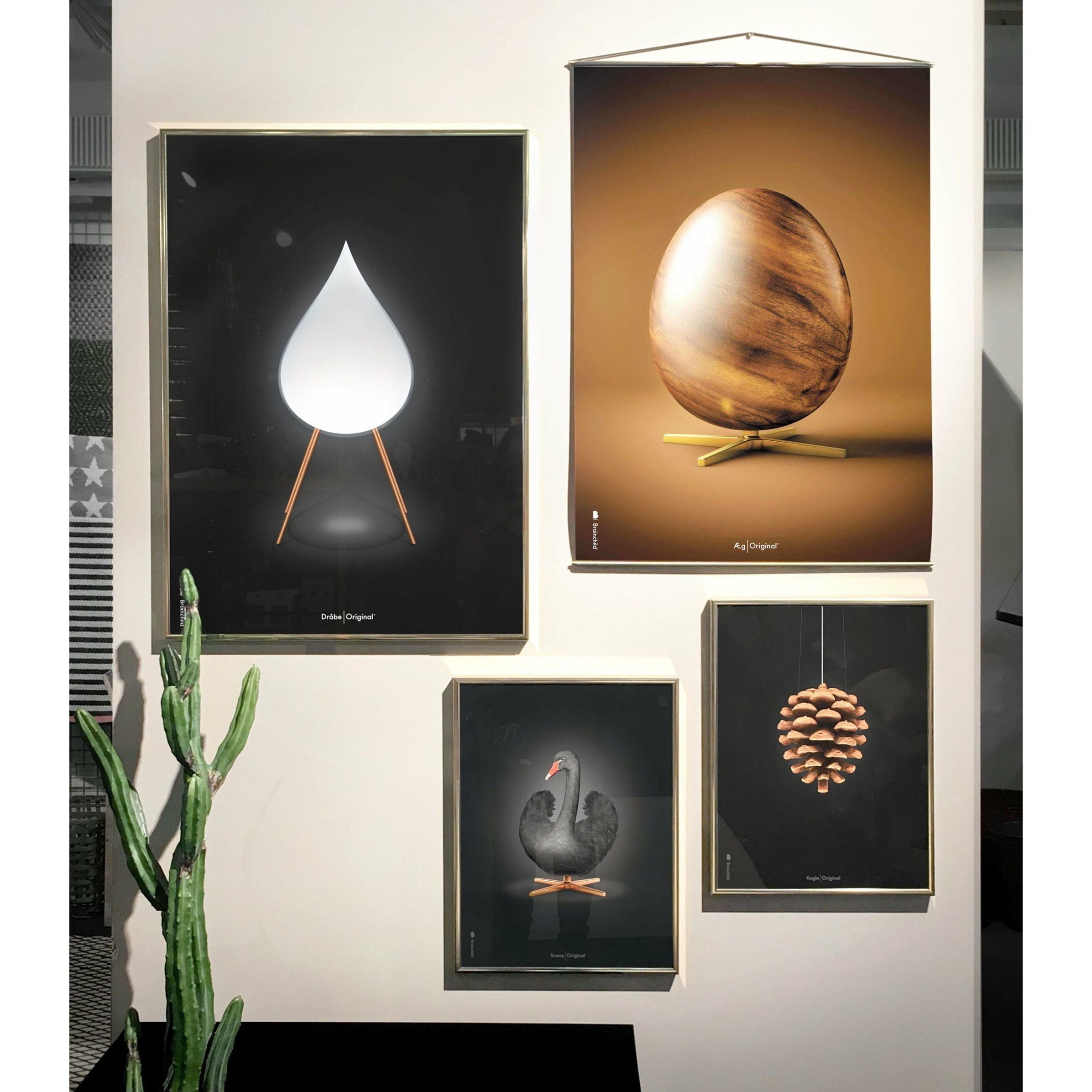 Brainchild Pine Cone Classic Poster, Frame Made Of Dark Wood 70x100 Cm, Black Background