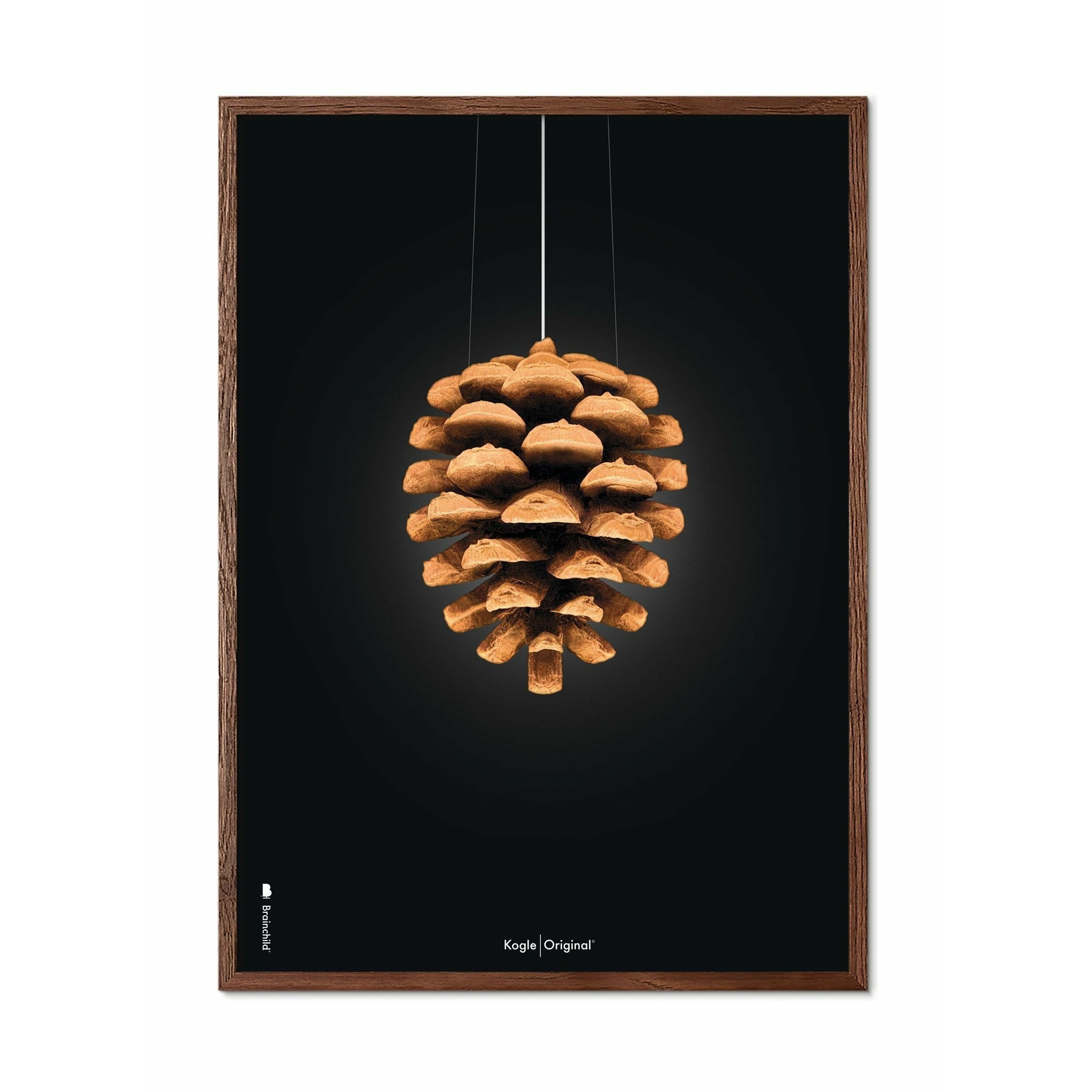 Póster clásico de cono de pino de creación, marco hecho de madera oscura de 70x100 cm, fondo negro