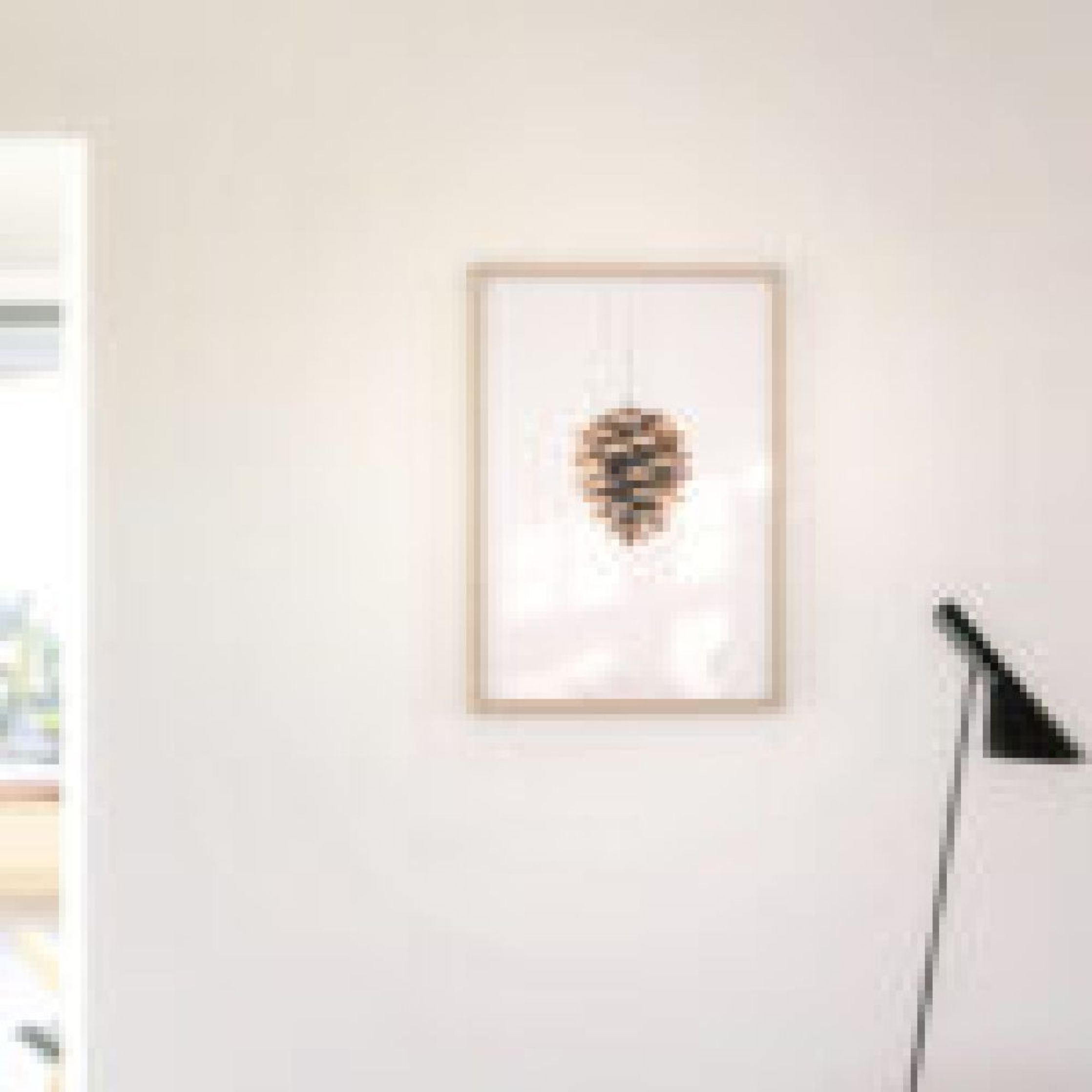 Brainchild Pine Cone Classic Poster, Frame Made Of Dark Wood 70x100 Cm, White Background