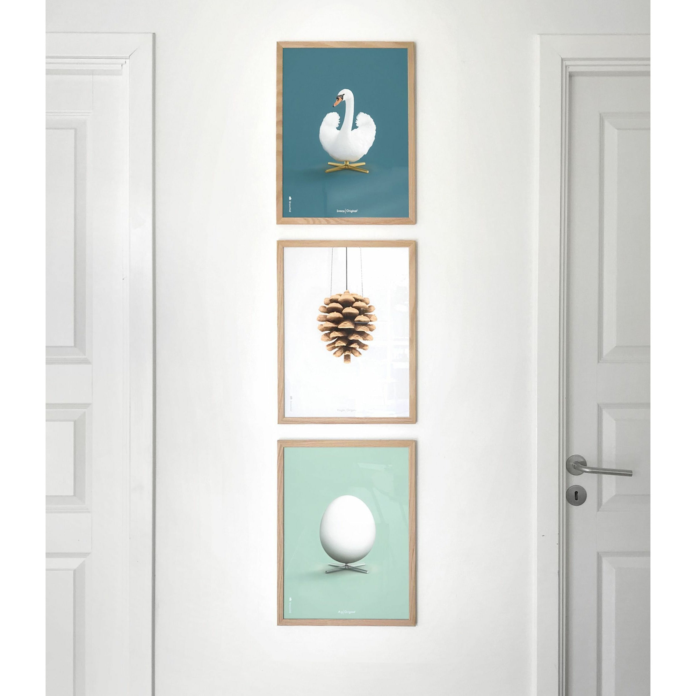 Brainchild Pine Cone Classic Poster, Frame Made Of Dark Wood 70x100 Cm, White Background