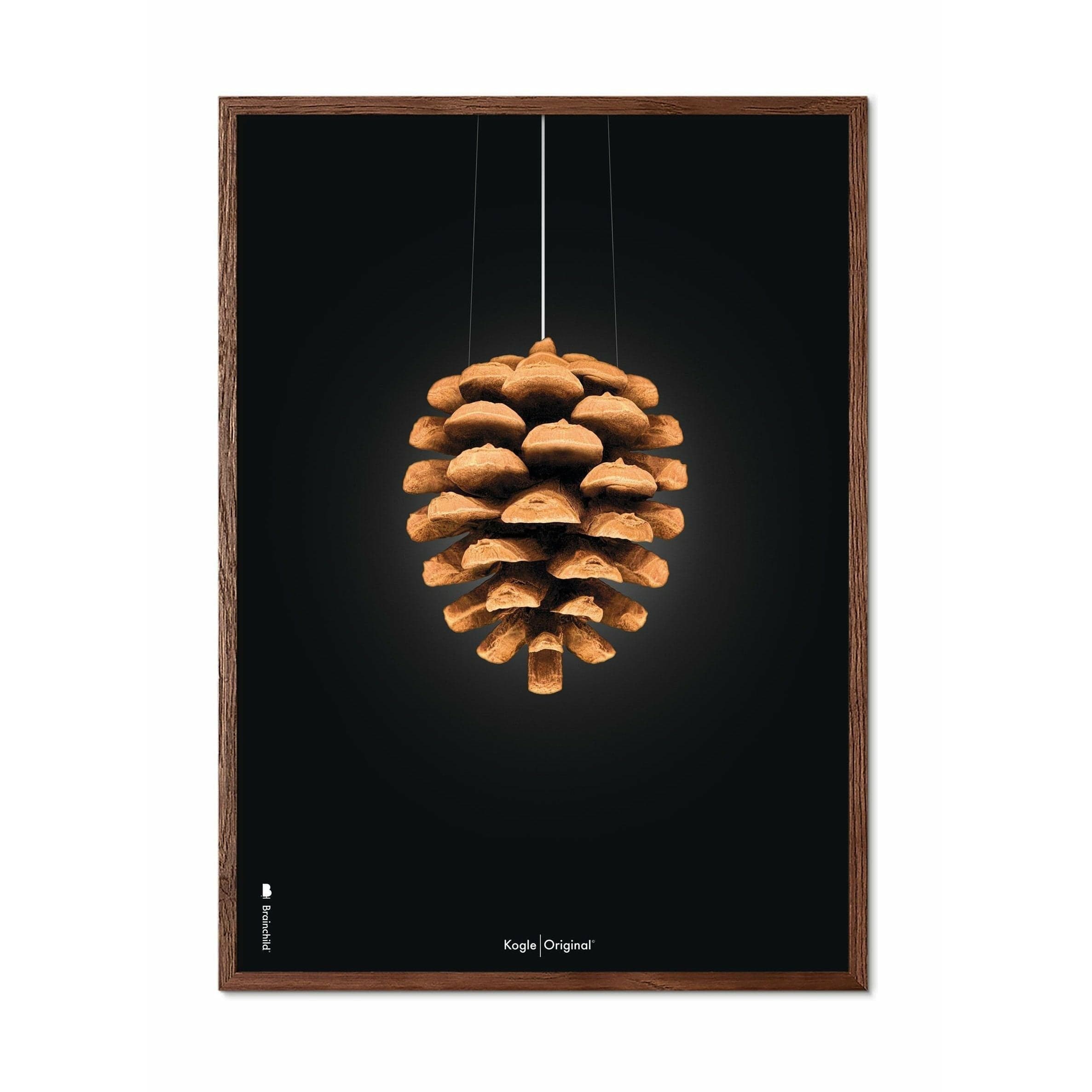 Póster clásico de cono de pino de creación, marco de madera oscura A5, fondo negro