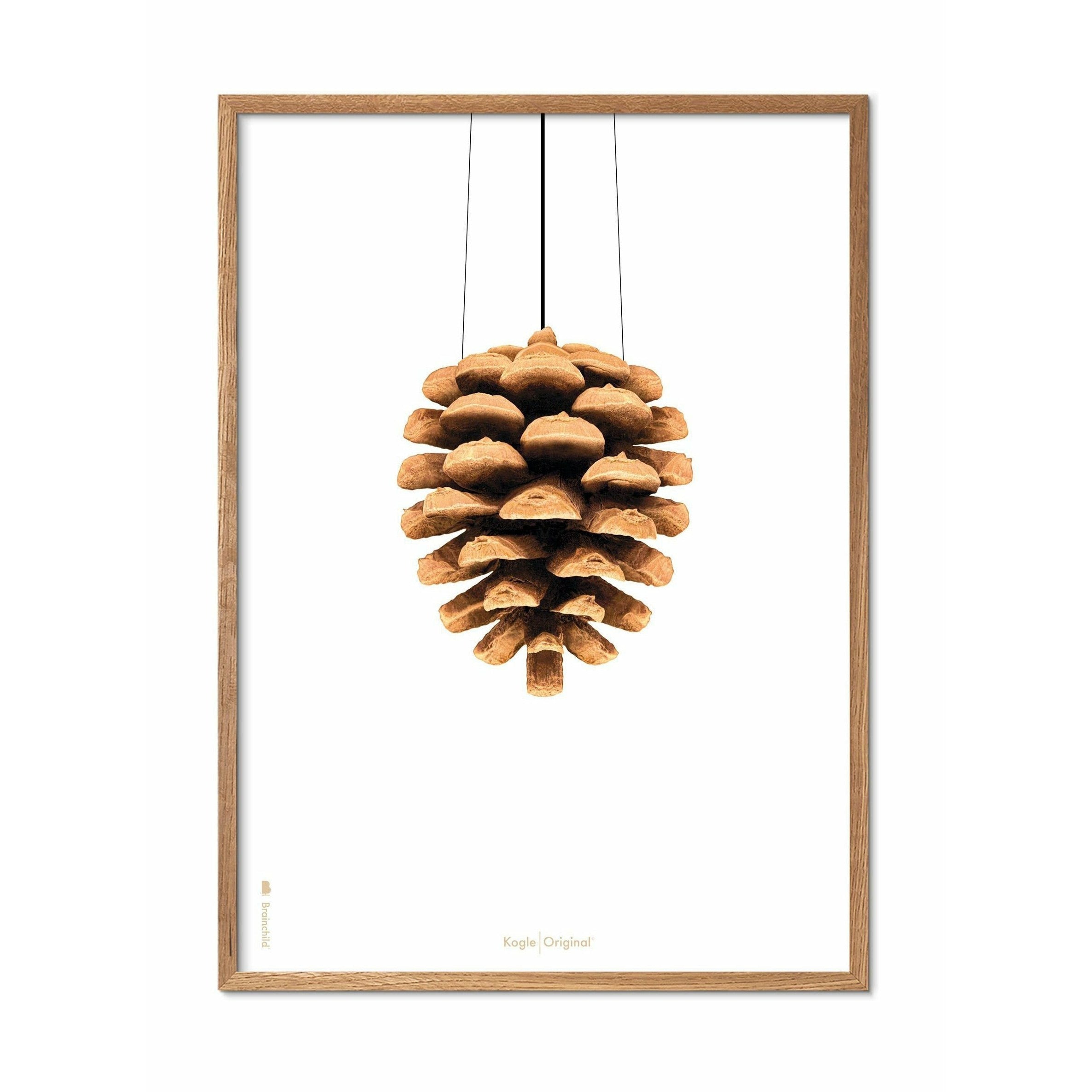 Póster clásico de cono de pino de creación, marco hecho de madera clara 50x70 cm, fondo blanco