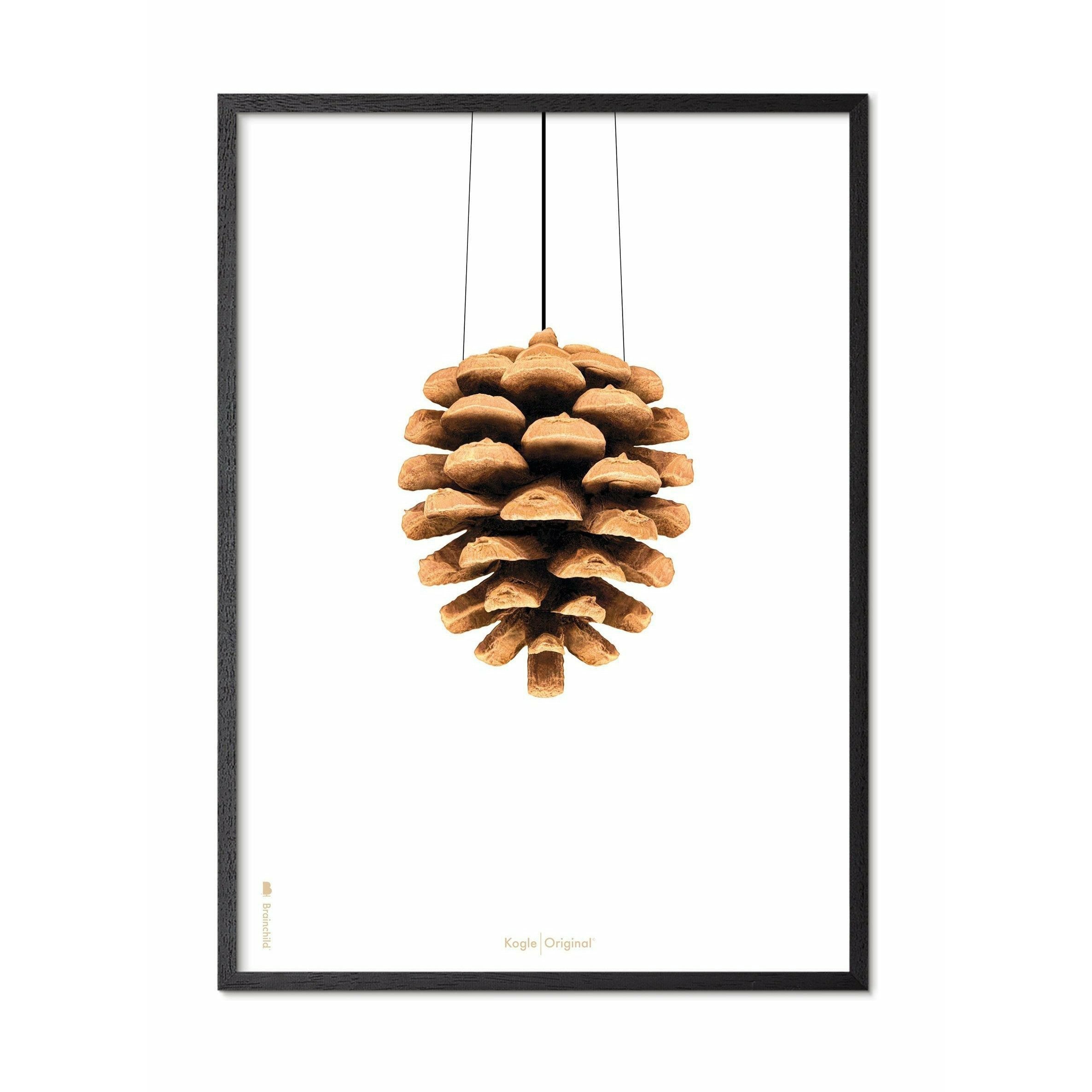 Brainchild Pine Cones Classic Poster, Frame In Black Lacquered Wood 30x40 Cm, White Background