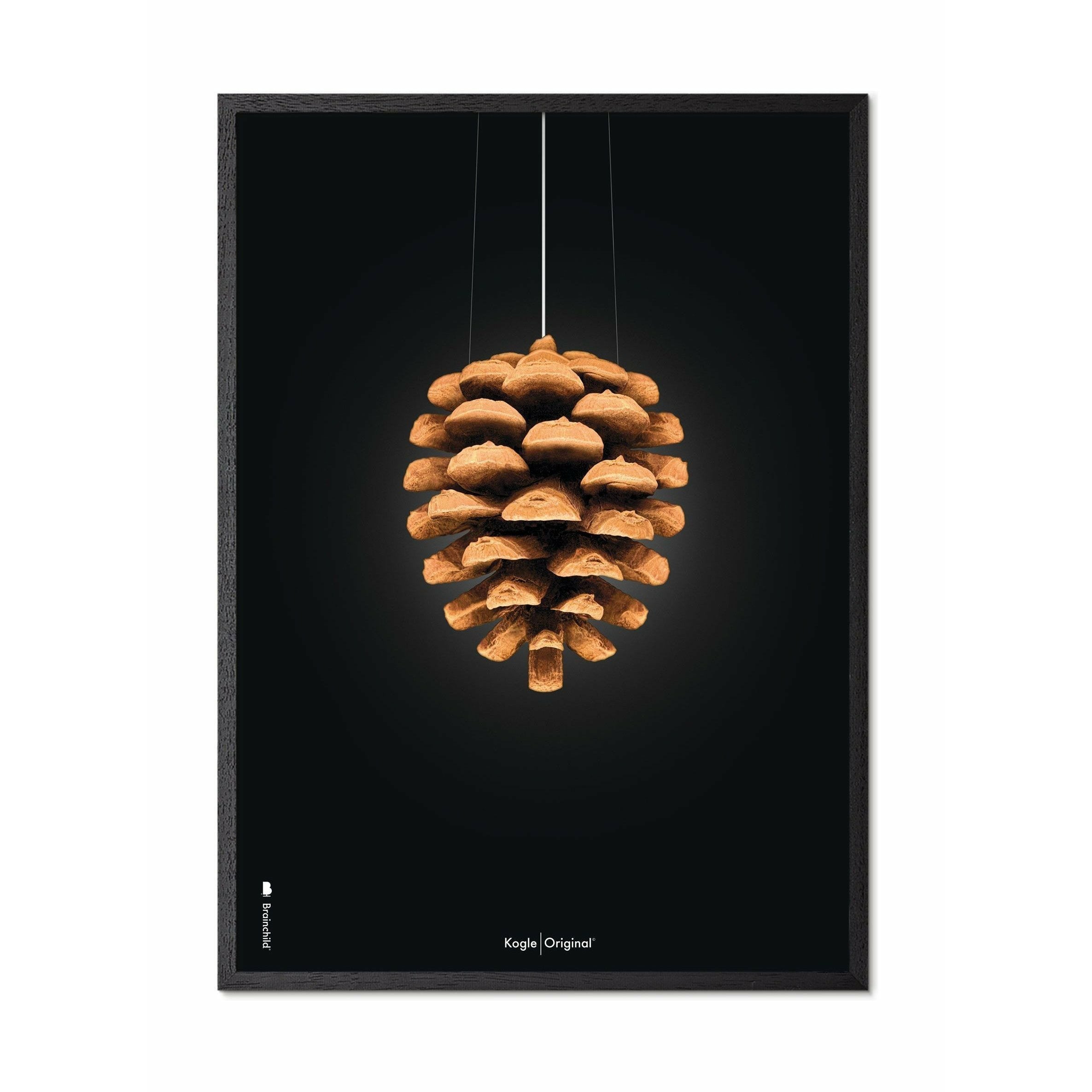 Póster clásico de cono de pino de creación, marco en madera lacada negra 50x70 cm, fondo negro
