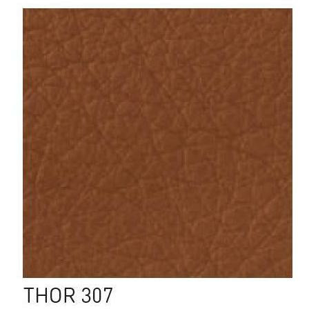 Carl Hansen Thor Probe, Thor 307