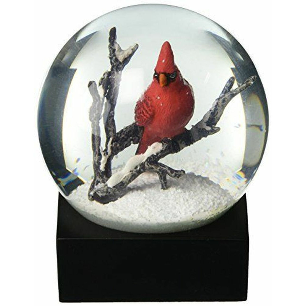 Chant cardinal des globes de neige cool