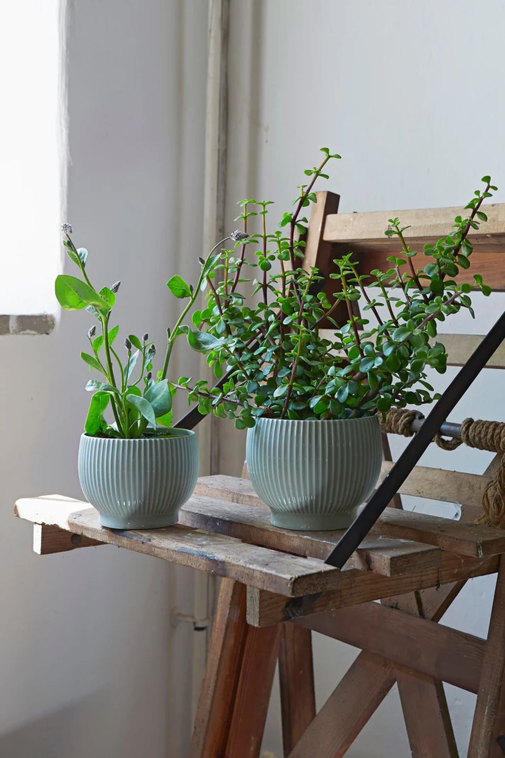 Knabstrup Keramik -Blumenpot mit Brötchen Ø 14,5 cm, Mintgrün