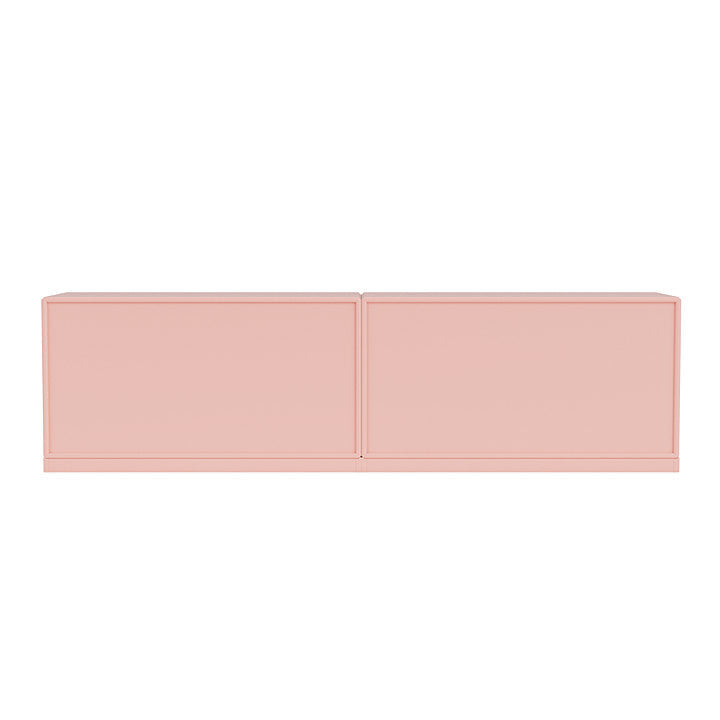 Pinie de ligne du Montana avec socle de 3 cm, rubis