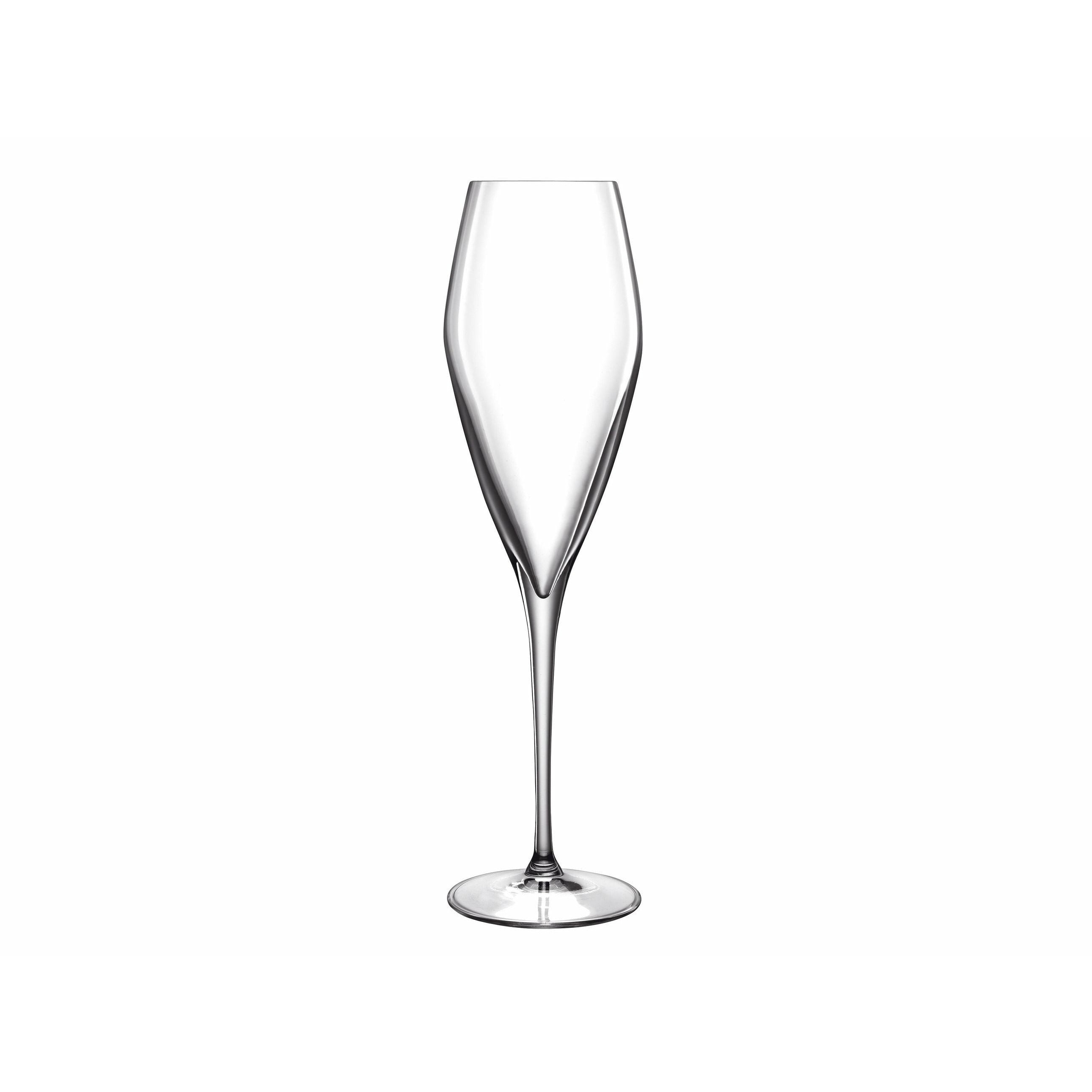 Luigi Borlioli Atelier Champagne Glass Prosecco, 2 pièces