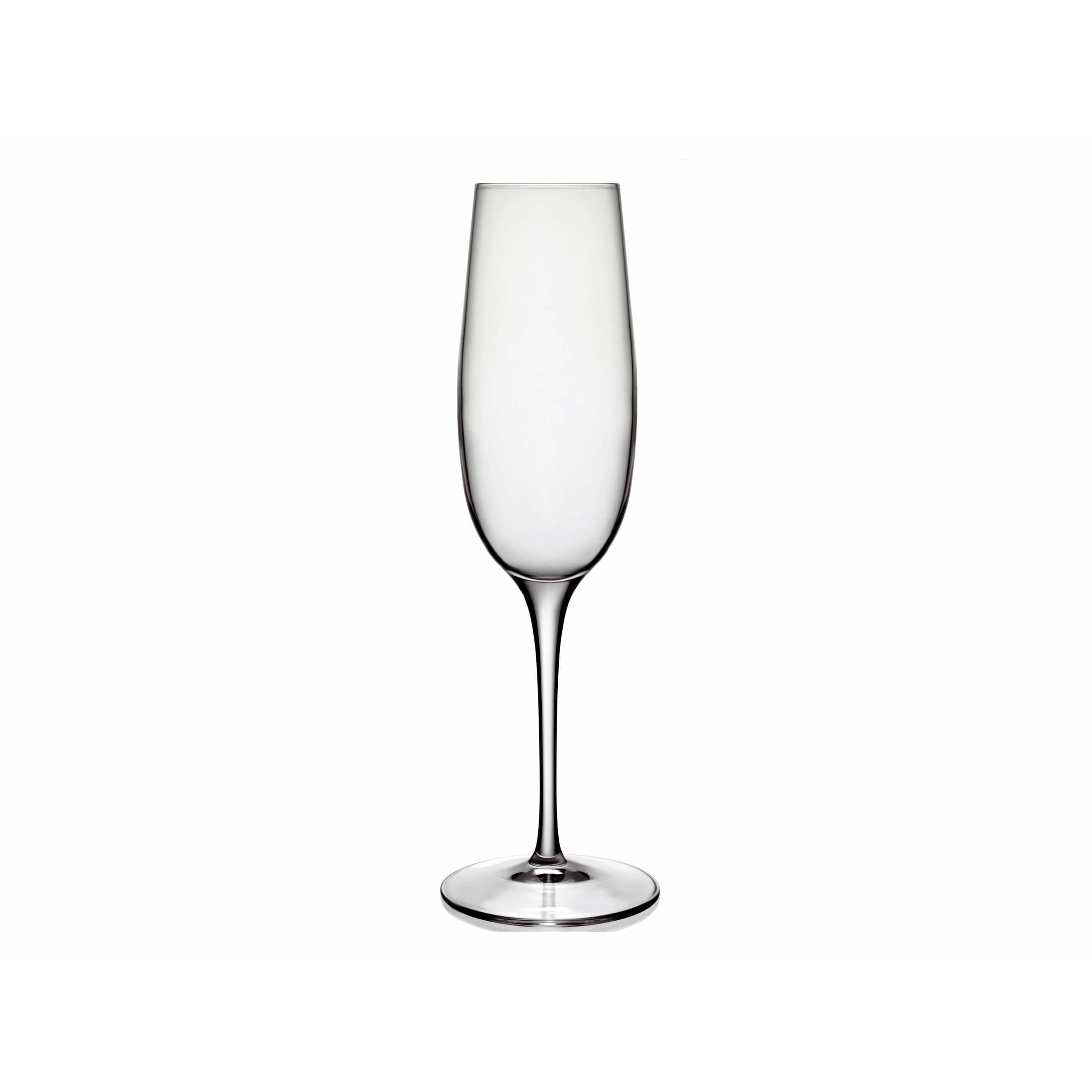 Luigi Borlioli Palace Champagne Glass, ensemble de 6