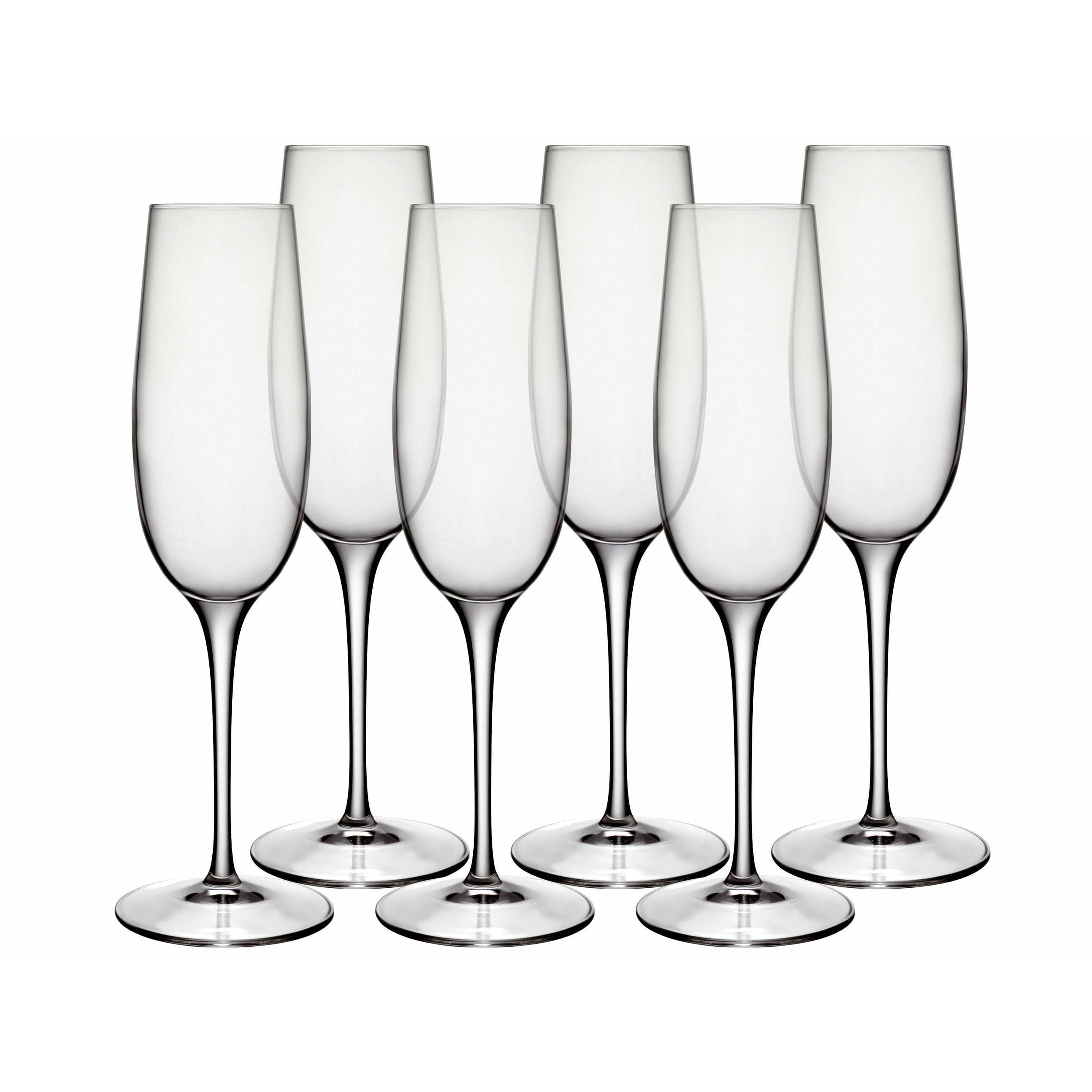 Luigi Borlioli Palace Champagne Glass, ensemble de 6