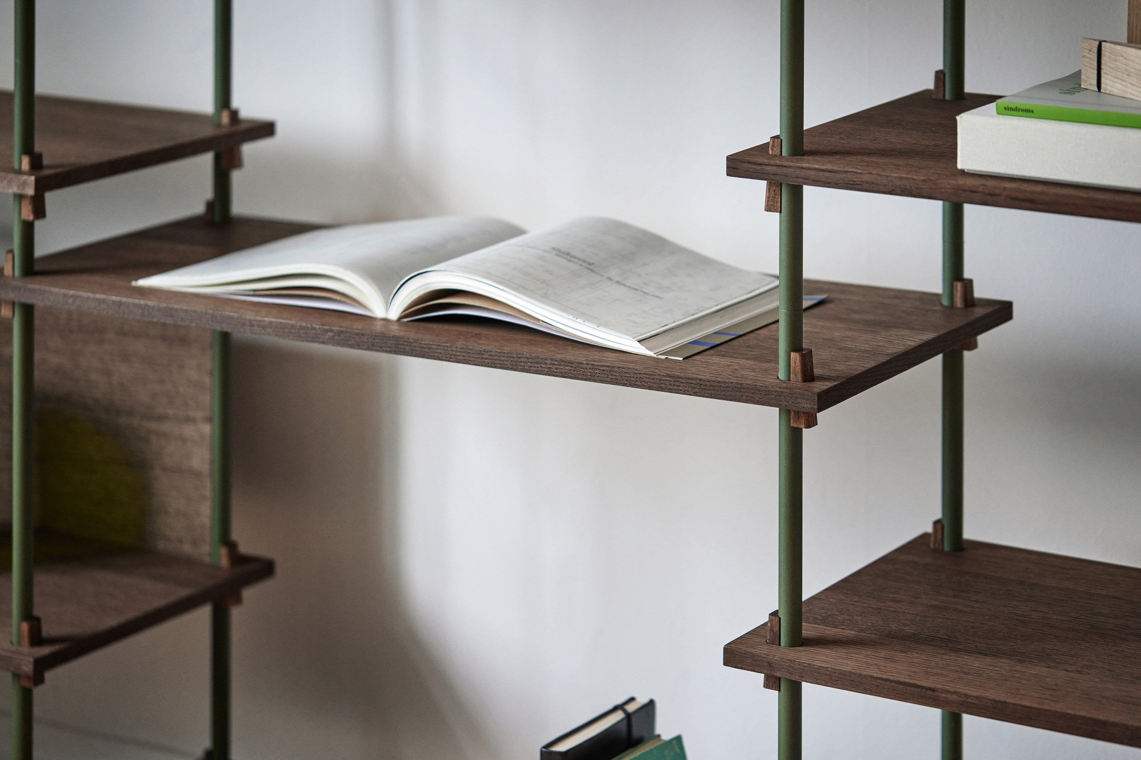 Moebe Shelving System S.255.2.E, Smoked Oak/Pine Green