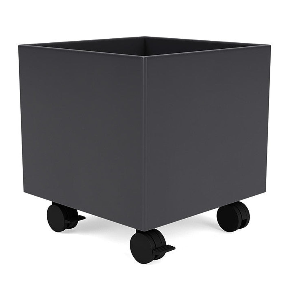 Montana Blay Box on Castors, Anthracite