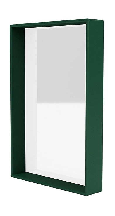 Montana Shelfie Mirror con marco de estante, Pine Green