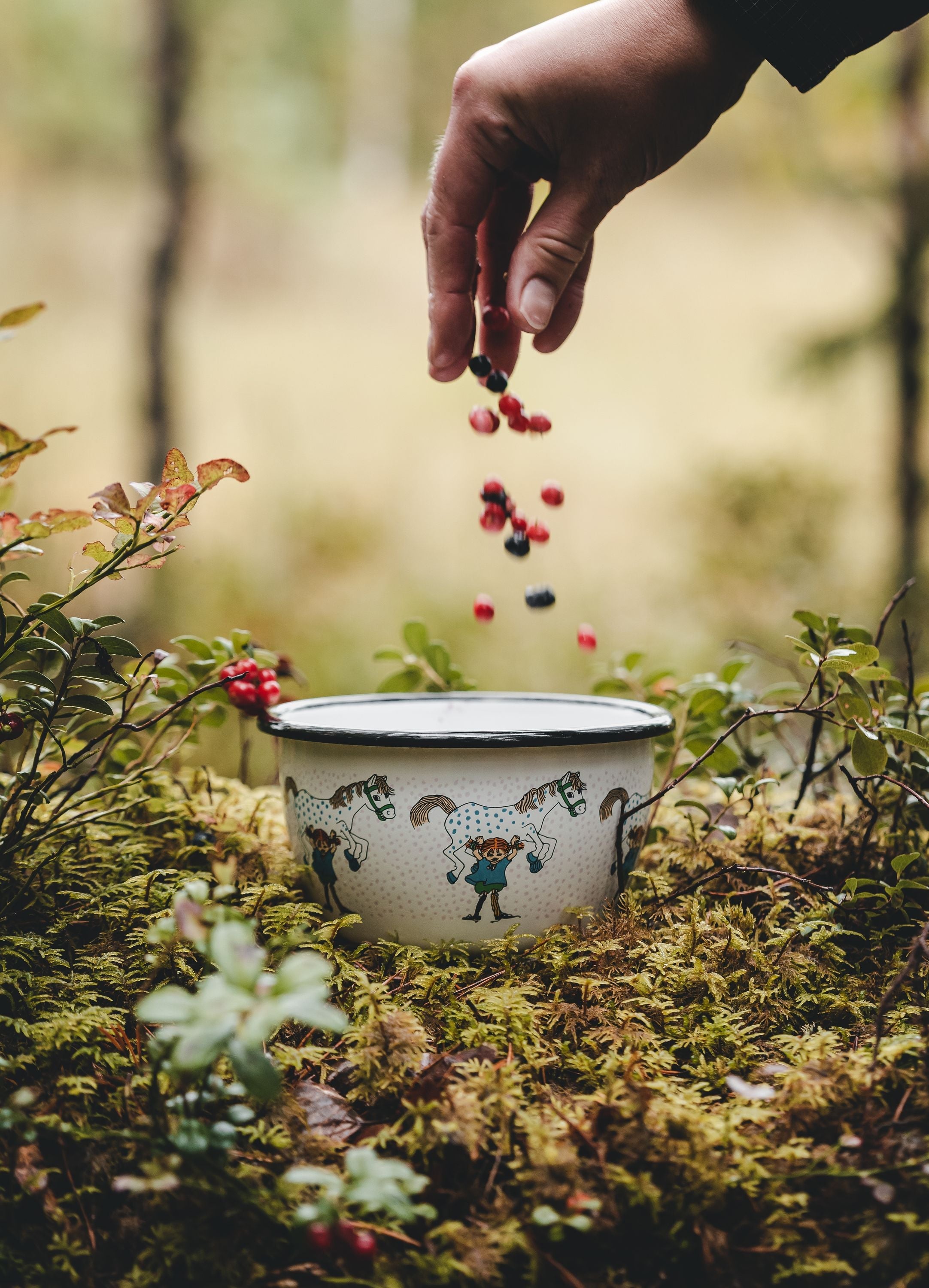 Muurla Pippi Longstocking Emalje Bowl, Pippi og hesten