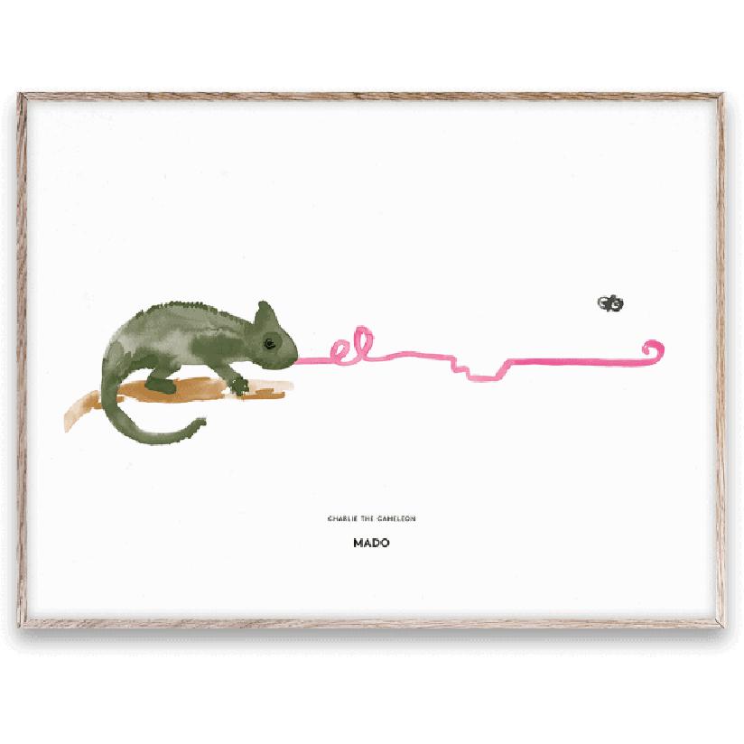 Papirkollektiv Charlie the Chameleon -plakat, 30x40 cm