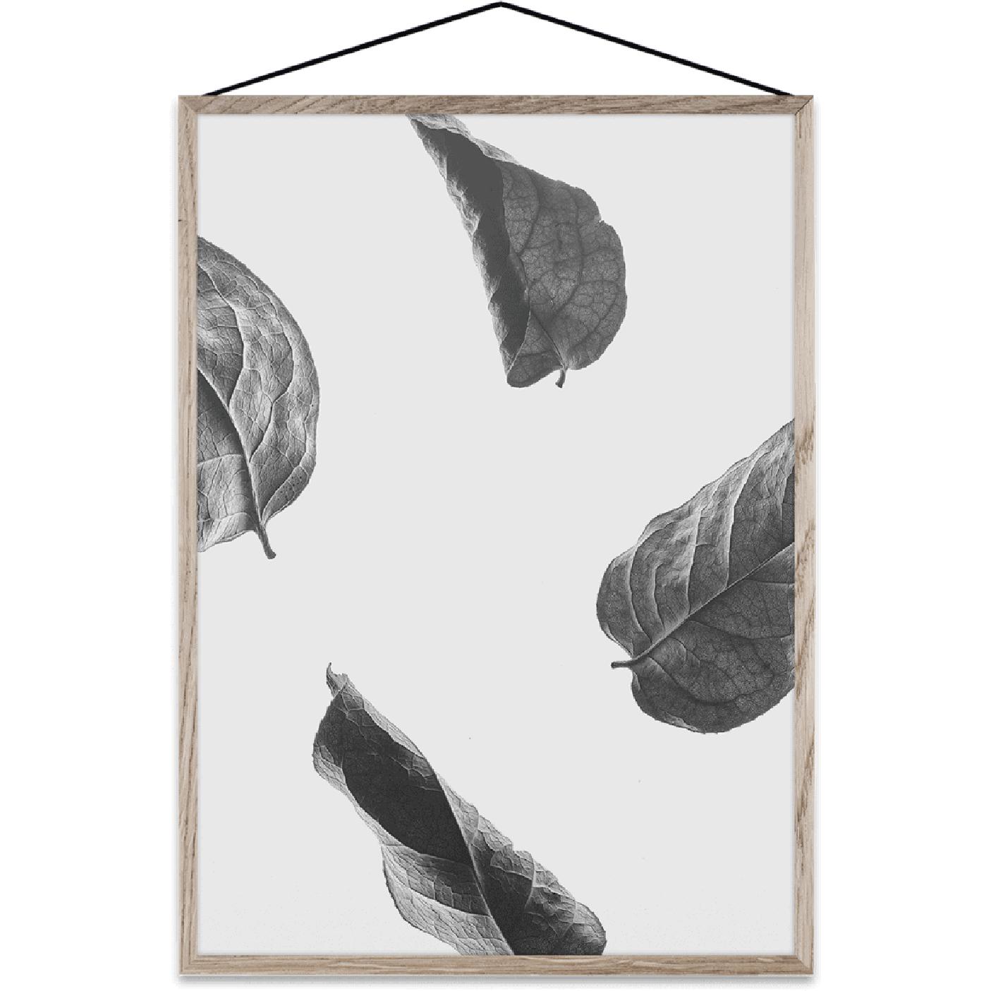 Paper Collective Floating Feuilles 02 Carte, A3
