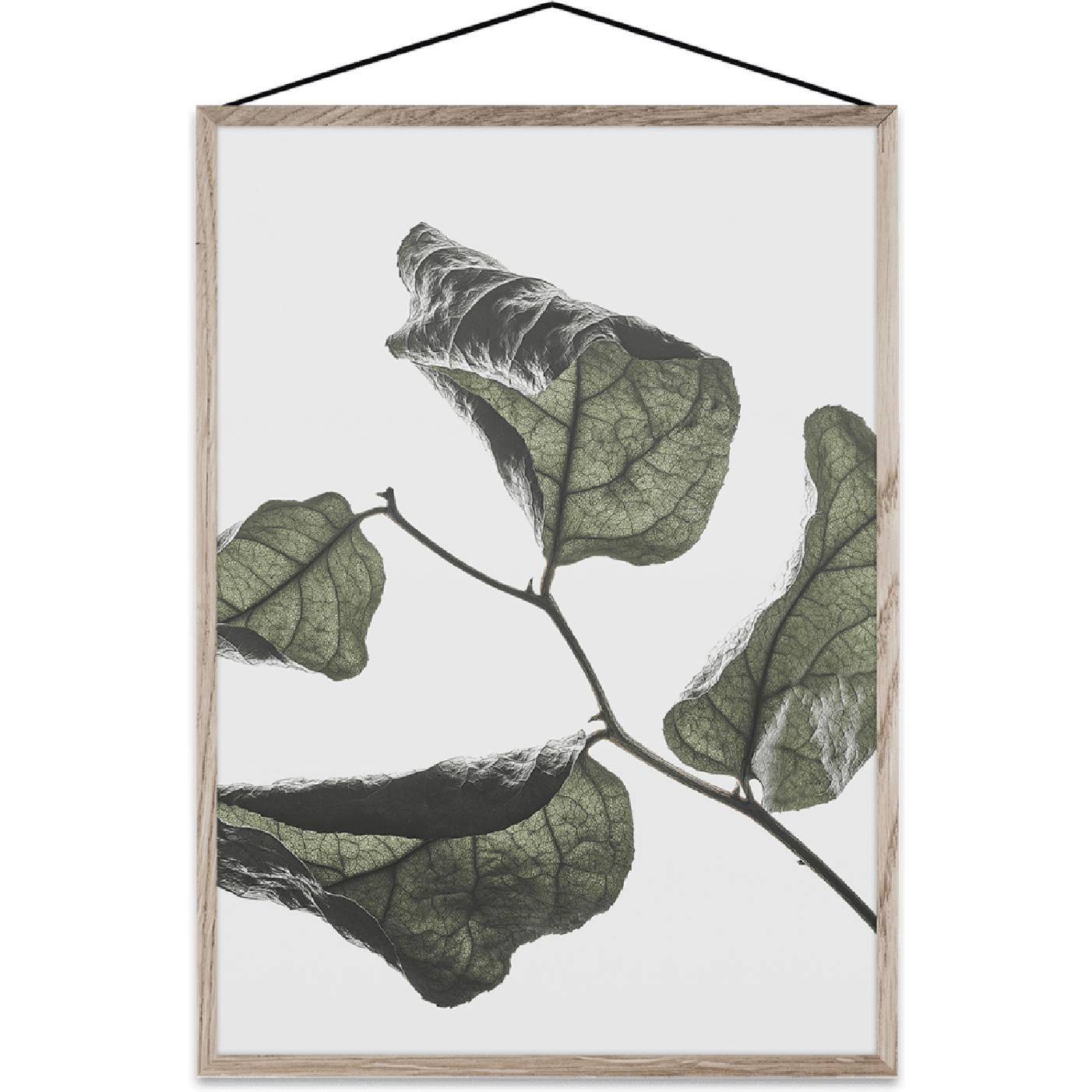 Paper Collective Floating Feuilles 03 Carte, A2