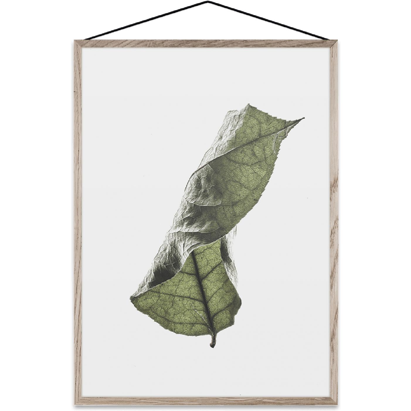 Paper Collective Floating Feuilles 04 Carte, A3