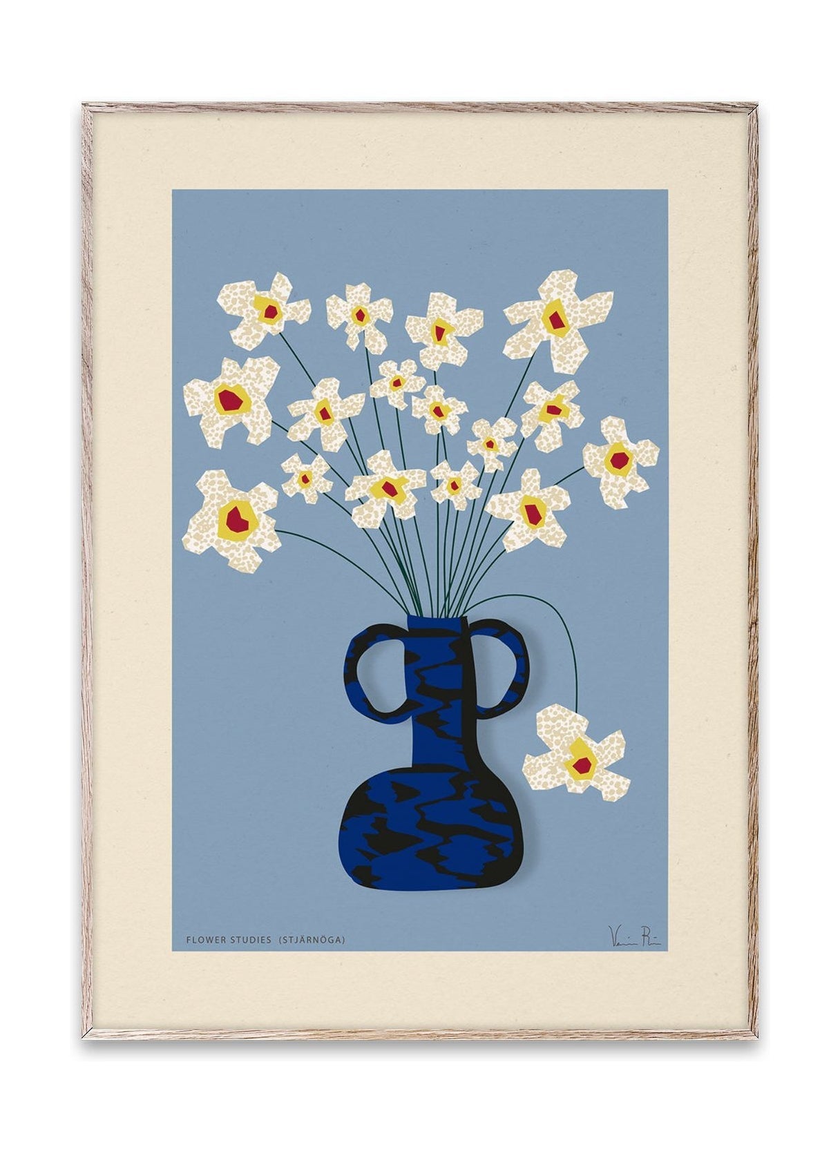 Paper Collective Flower Studies 04 (Stjärnöga) Affiche, 50x70 cm