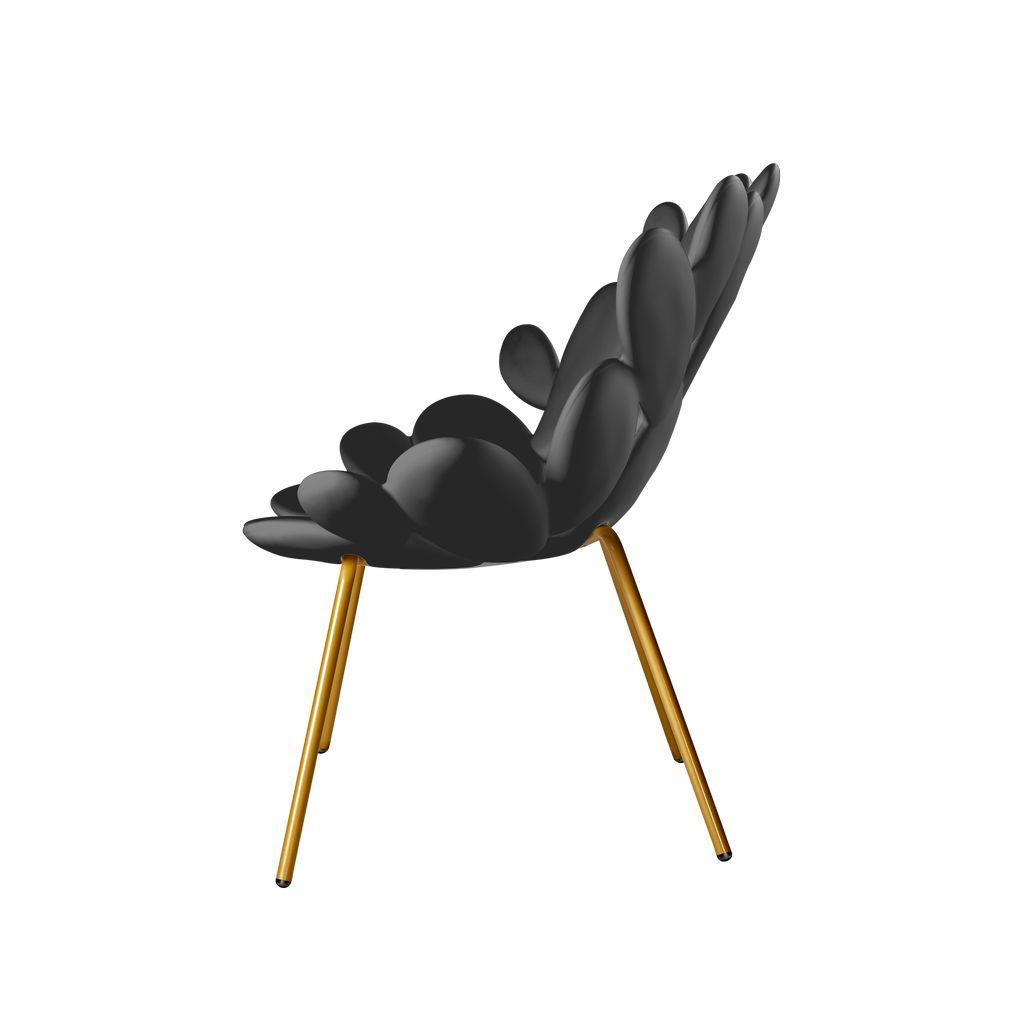 Qeeboo Filicudi Armchair By Marcantonio, Black/Brass