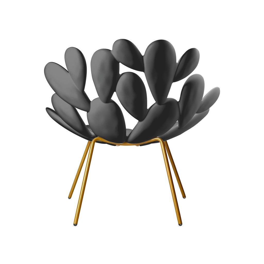 Qeeboo Filicudi Armchair By Marcantonio, Black/Brass