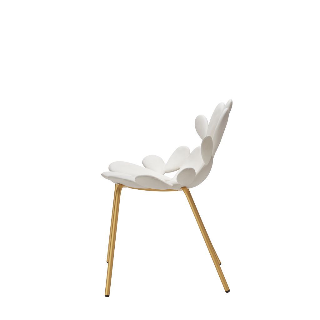 Chaise de chaise Filicudi QEEOOO Filicudi By Marcantonio Set de 2, blanc / laiton