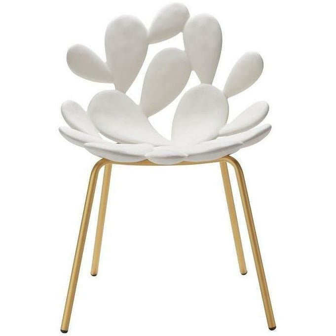 Chaise de chaise Filicudi QEEOOO Filicudi By Marcantonio Set de 2, blanc / laiton