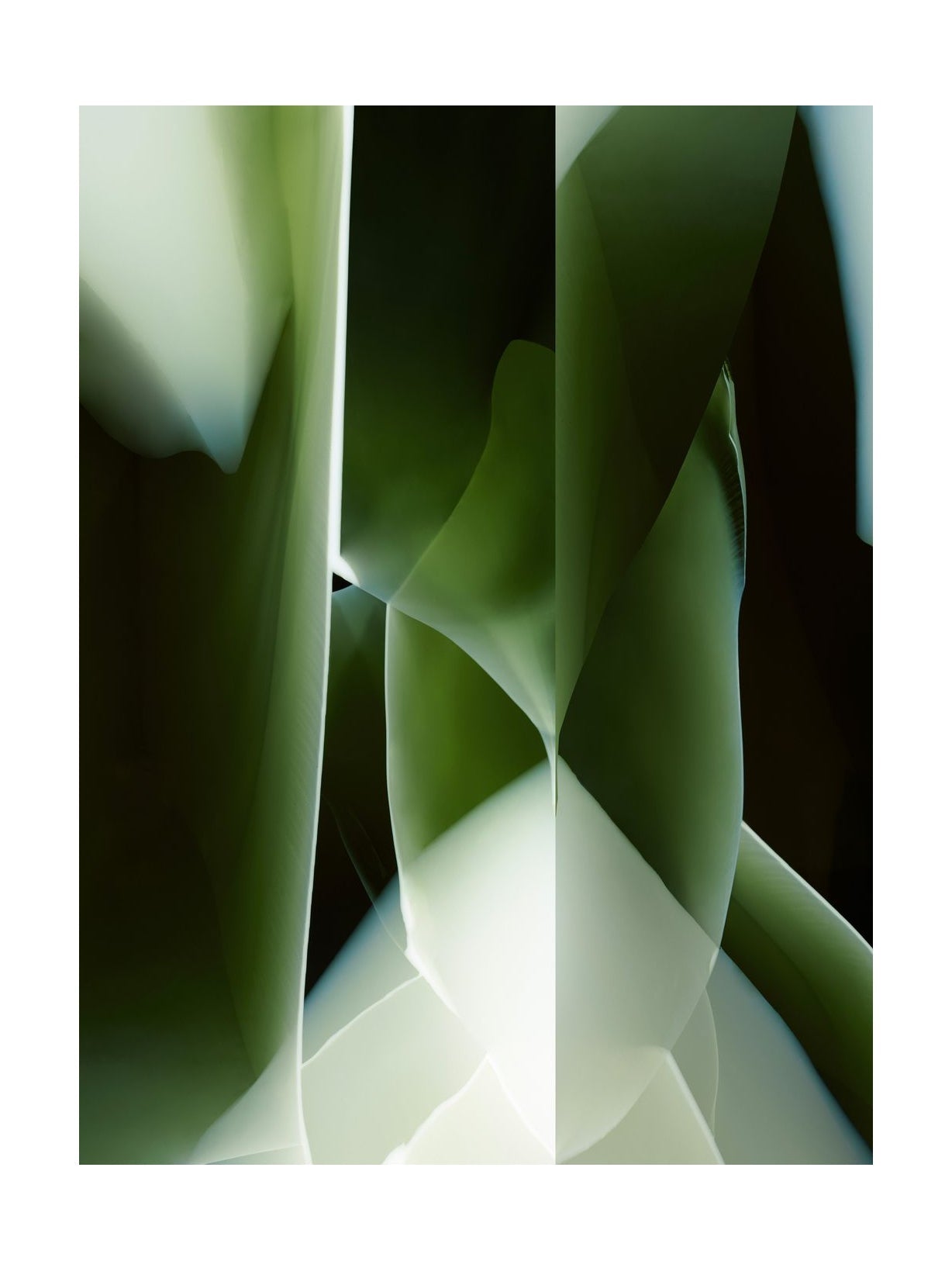 QEEBOO Studio Nucleo Teppich 300x400 cm, Green Onix