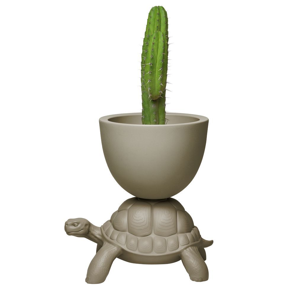 La tortue QEEEOO porte le pot de fleurs et le refroidisseur de champagne, gris