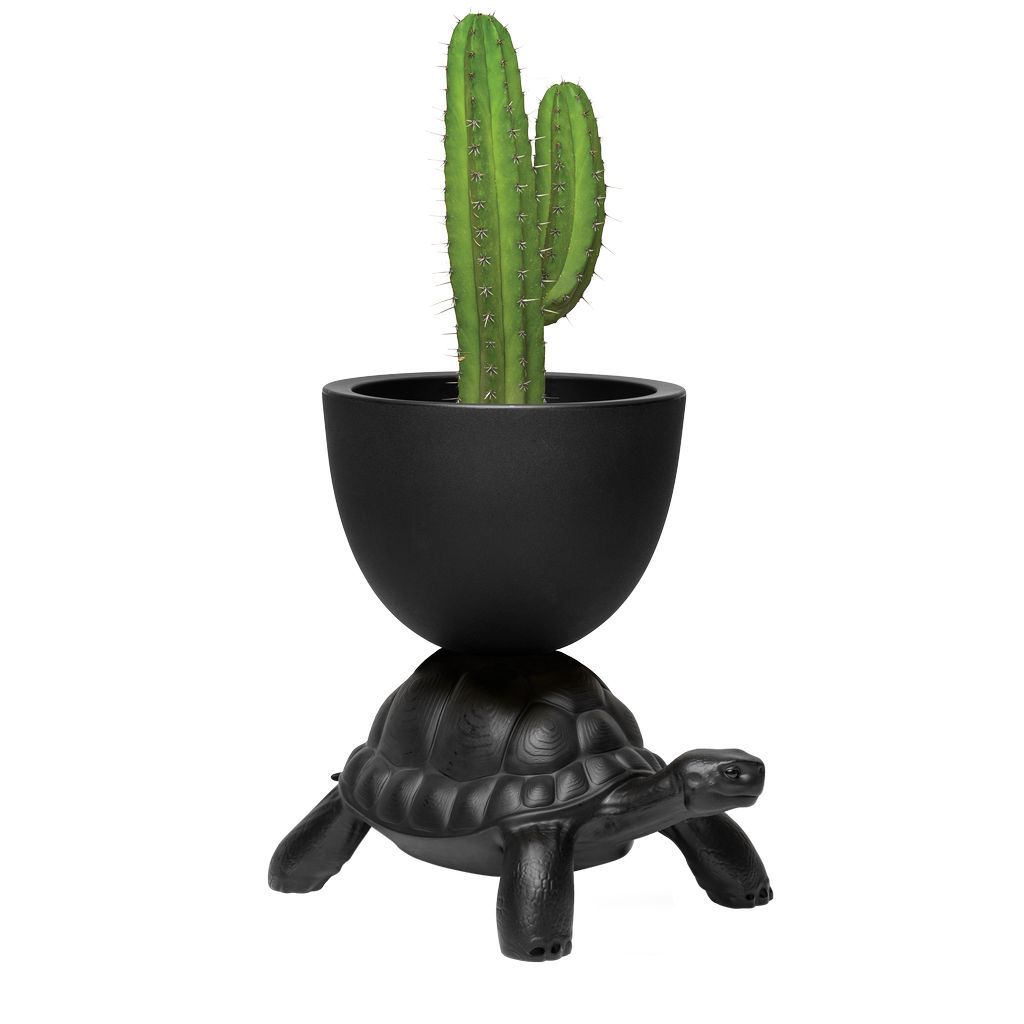 Qeeboo Turtle Carry Flowerpot y Champagne Cooler, Negro