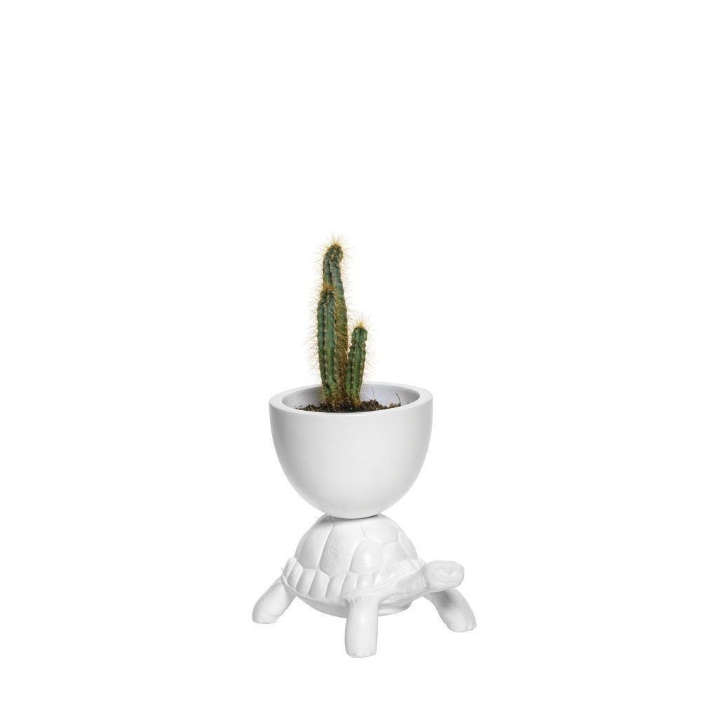 La tortue QEEEOO porte le pot de fleur XS, blanc