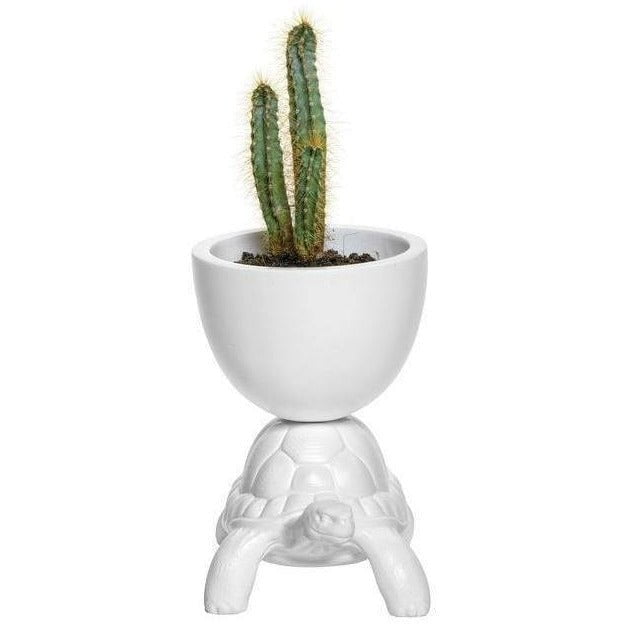 La tortue QEEEOO porte le pot de fleur XS, blanc