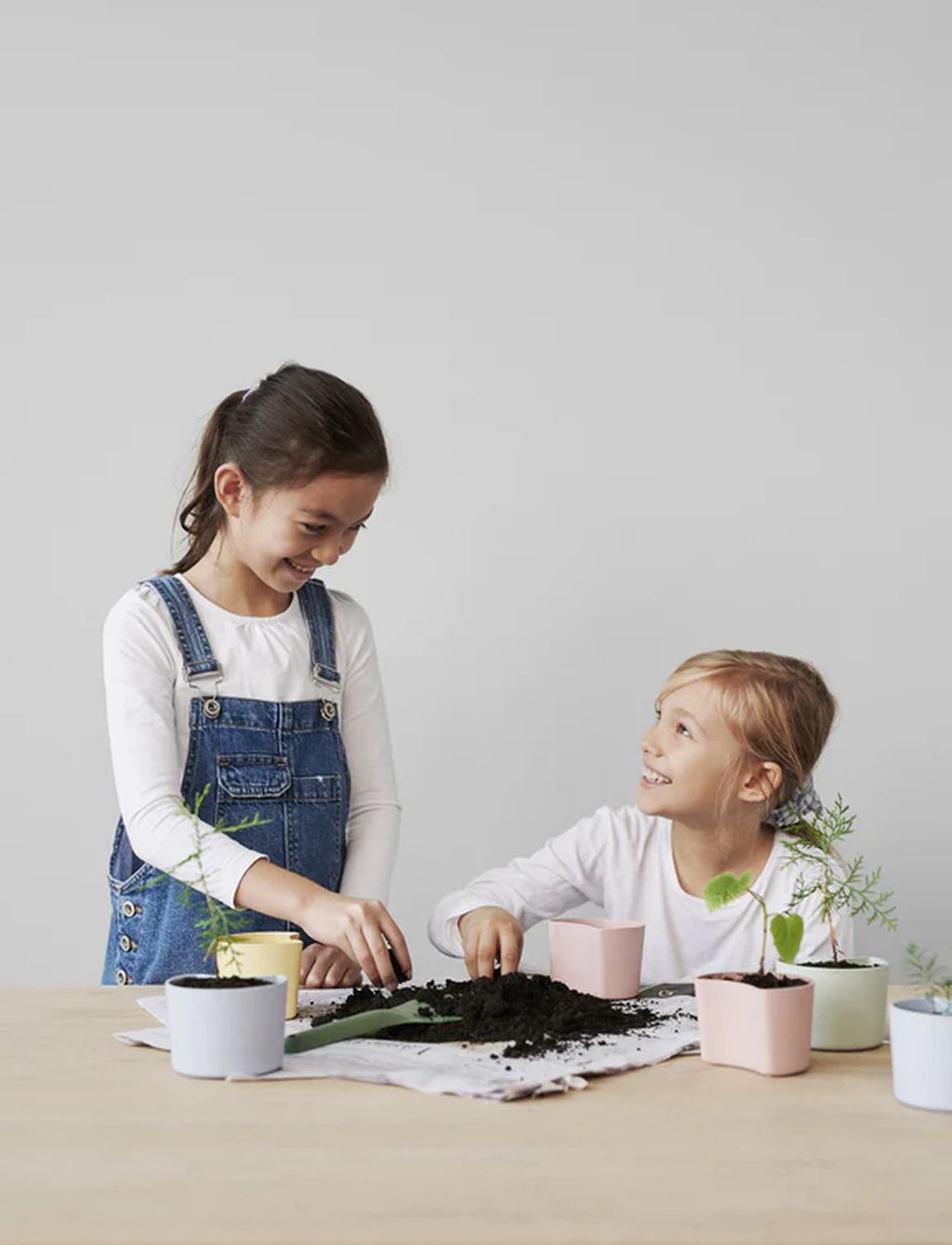 Rig tig dine træblomsterpotter med frø, lyserød