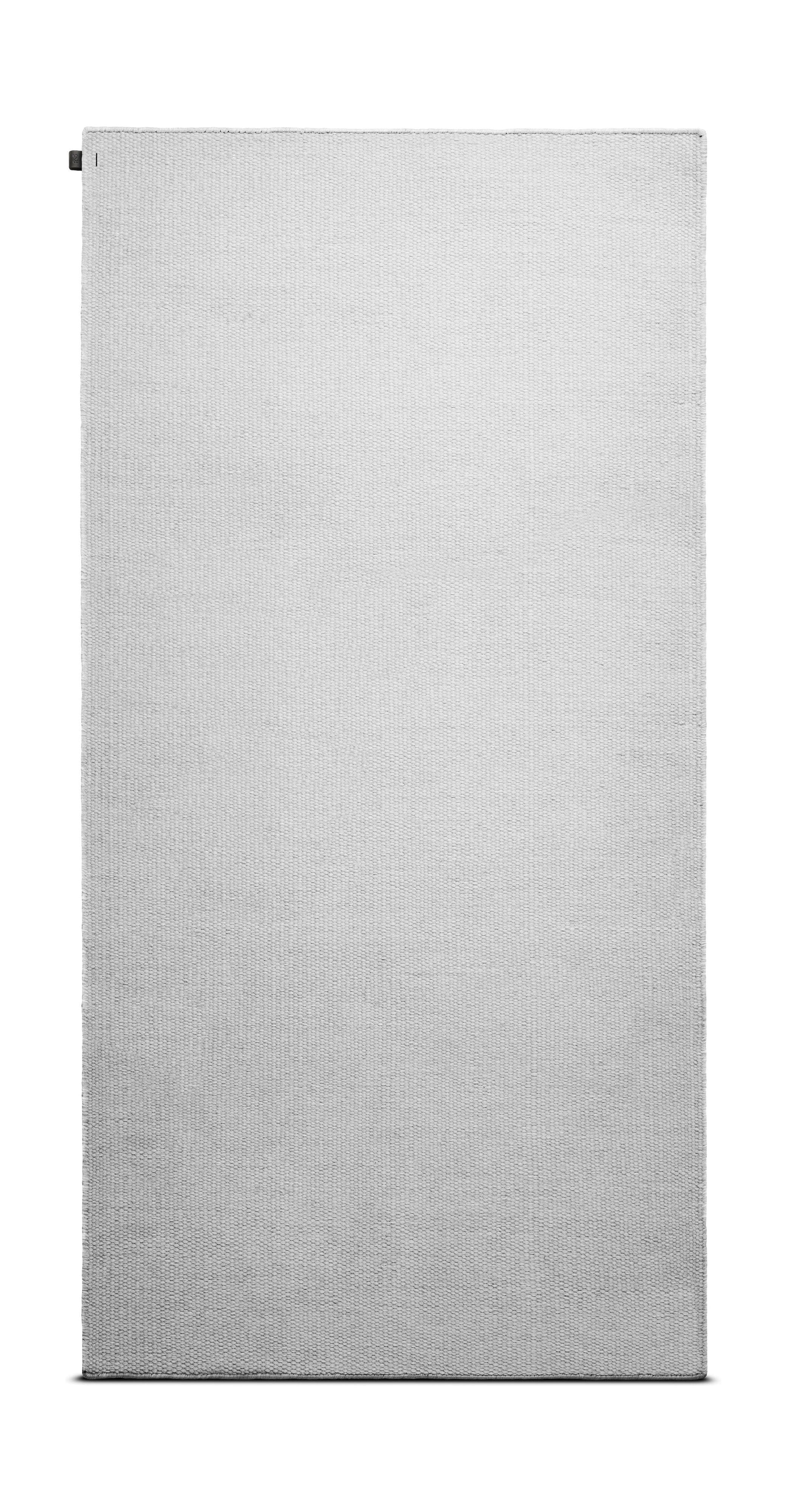 Tapis de compagnie de tapis à animal de compagnie 65 x 135 cm, lunaire