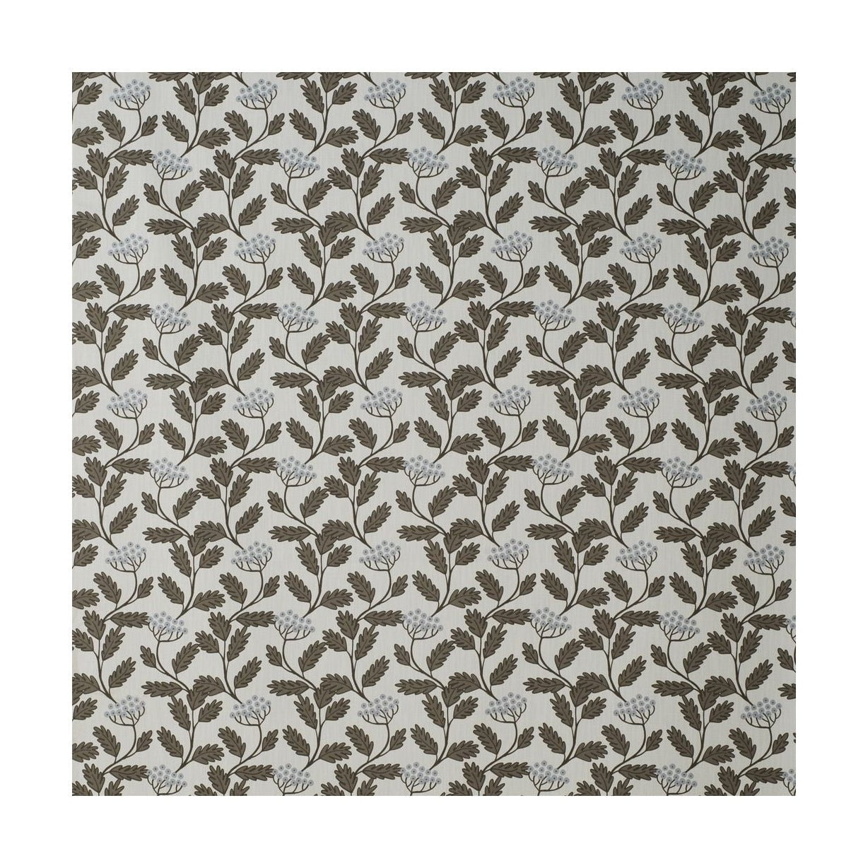 Largeur de tissu Spira Renfana 150 cm (prix par mètre), marron