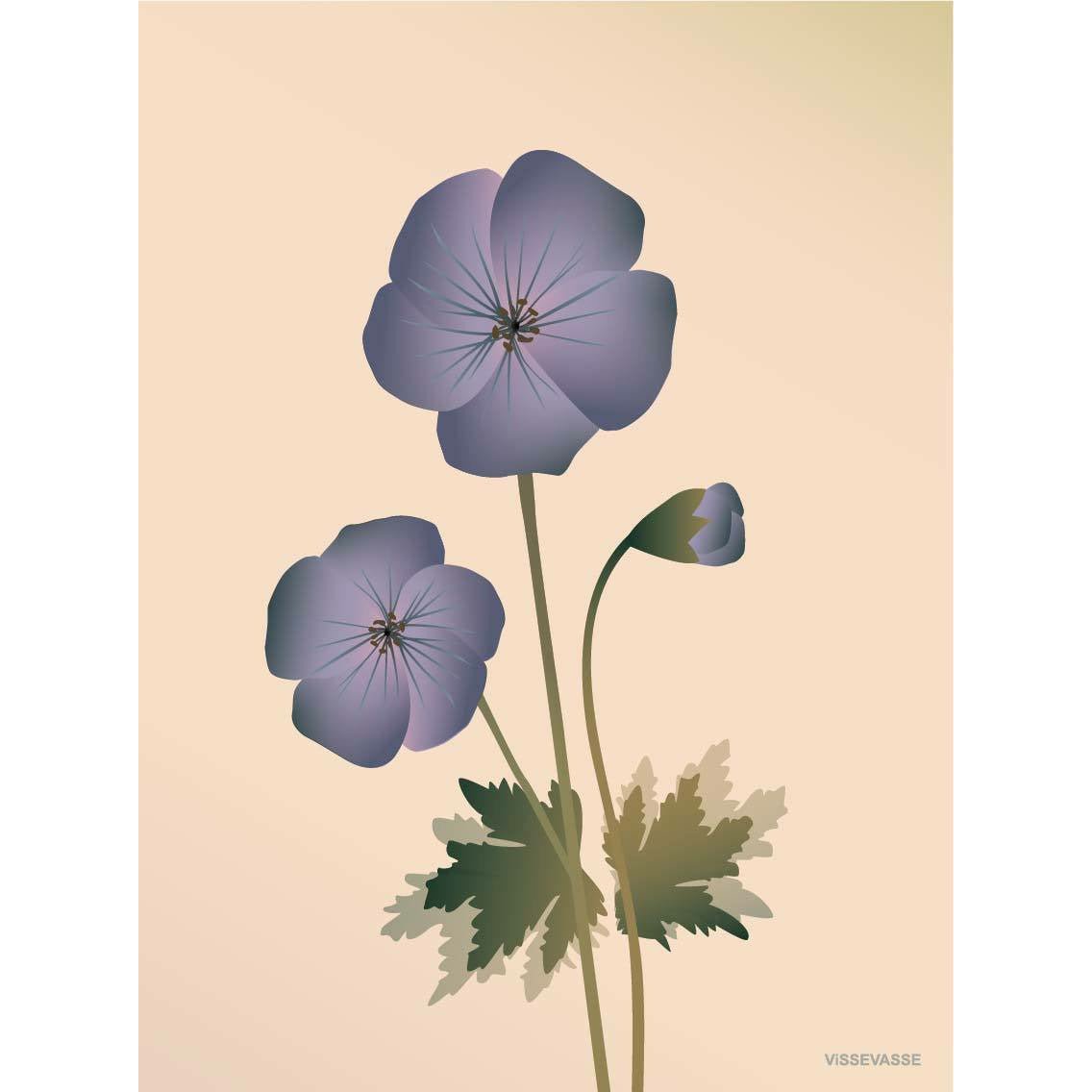 Vissevasse geranium affisch 30 x40 cm, naken