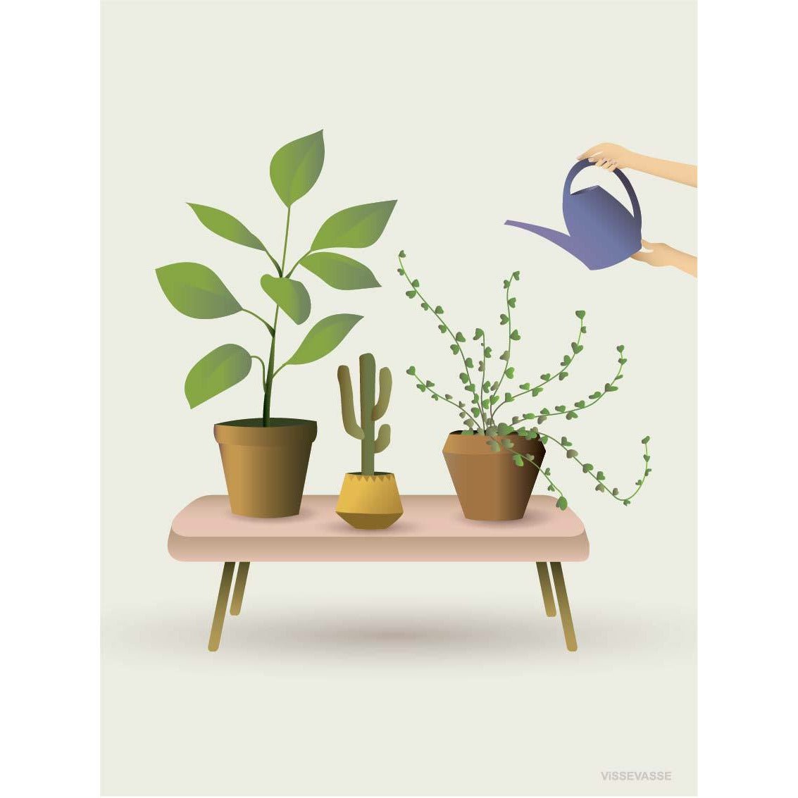 Vissevasse Growing Plants Poster, 30 X40 Cm