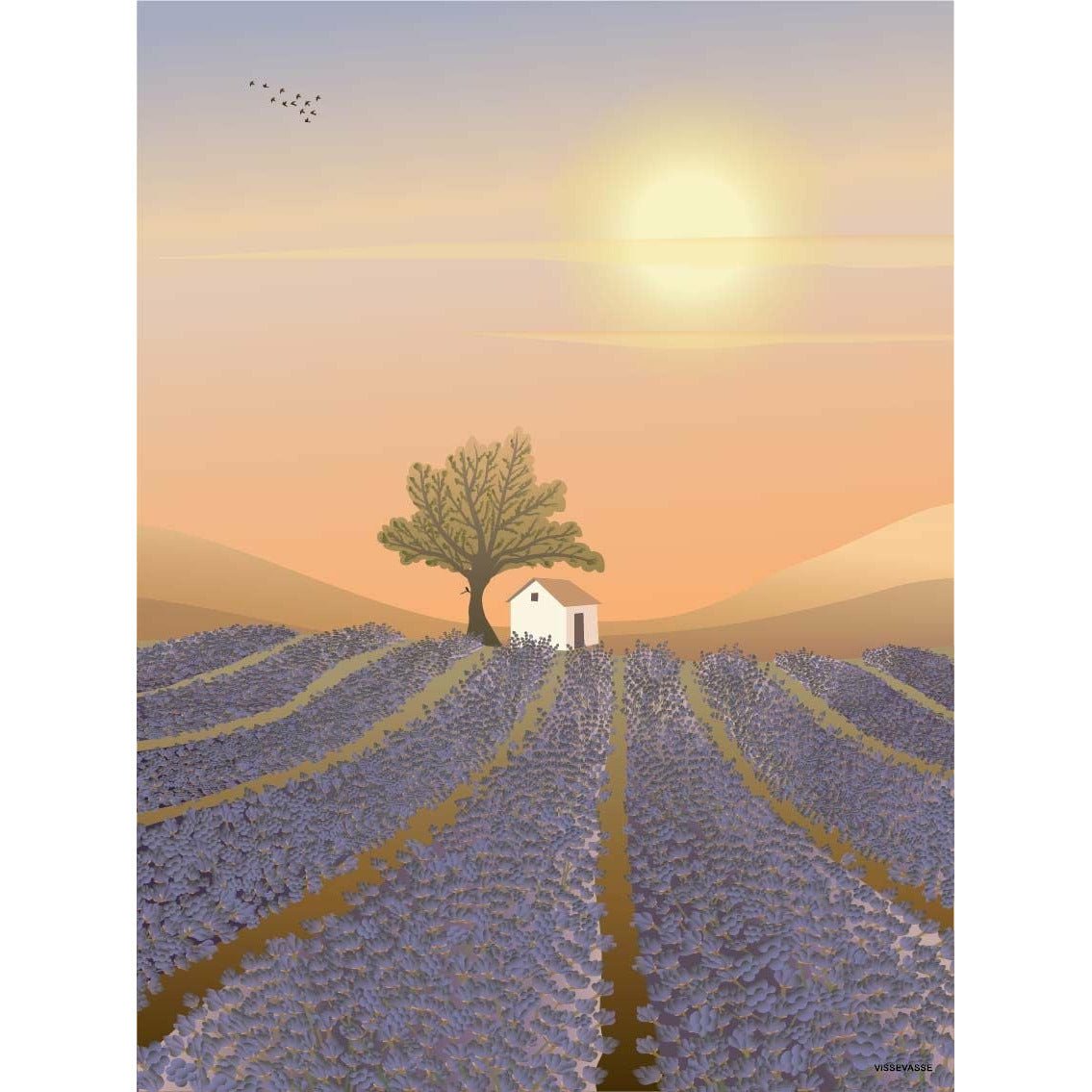 Vissevasse Lavender Field Field, 15x21 cm
