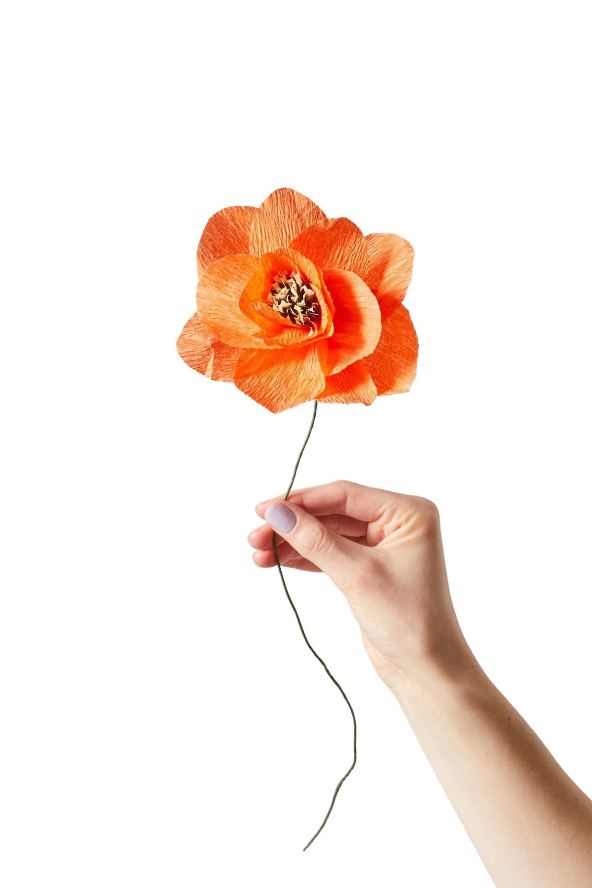 Studio sur du papier fleur de papier, rouge